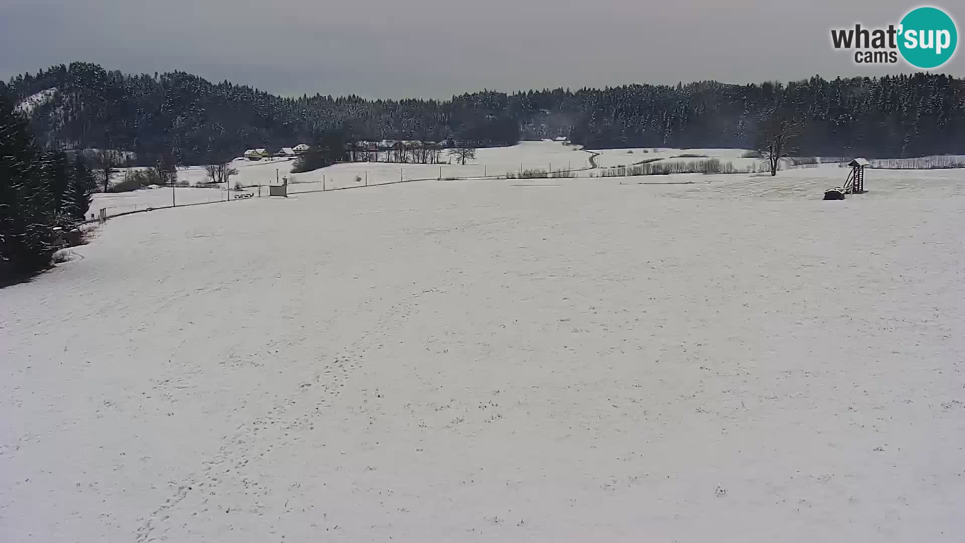 Nordic Centre Bonovec – camera en vivo