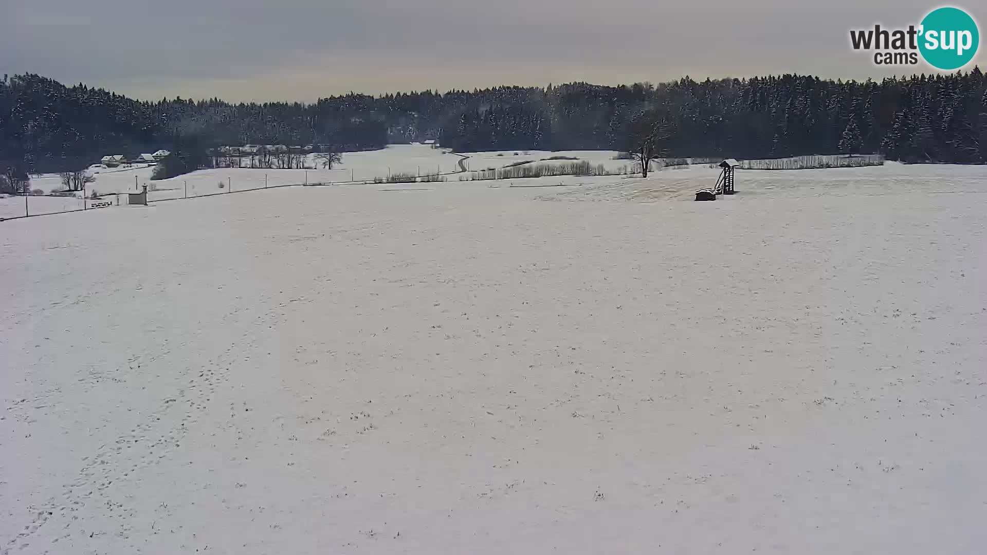 Live webcam Nordic center Bonovec – Medvode