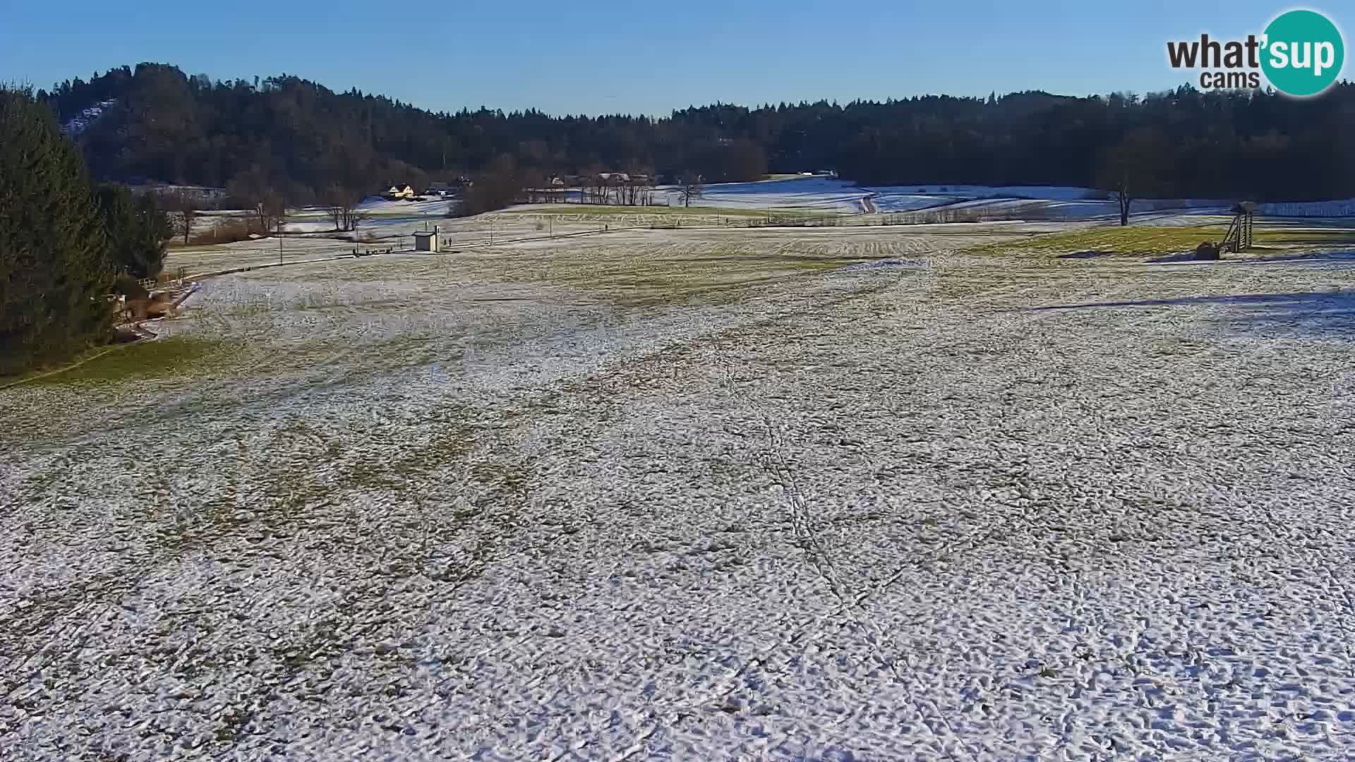 Spletna kamera Nordijski center Bonovec