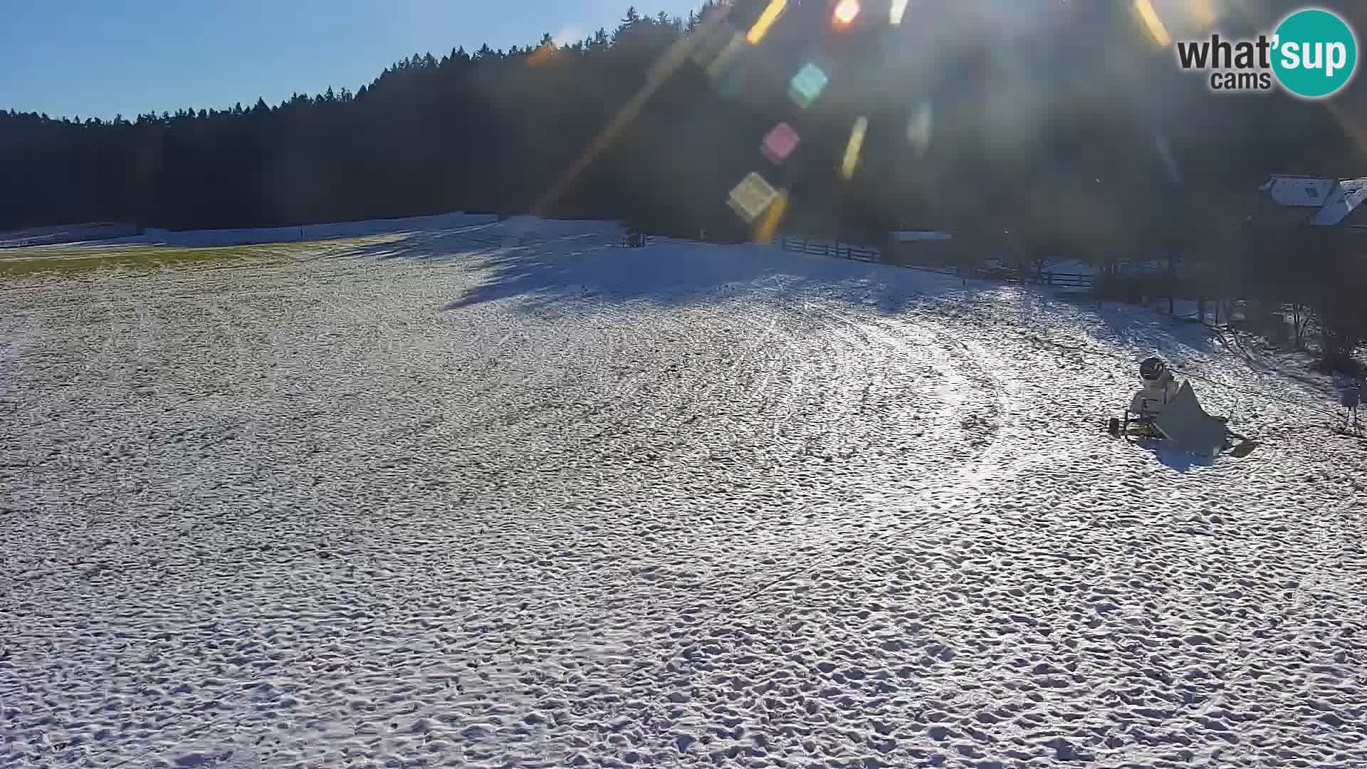 Live webcam Nordic center Bonovec – Medvode