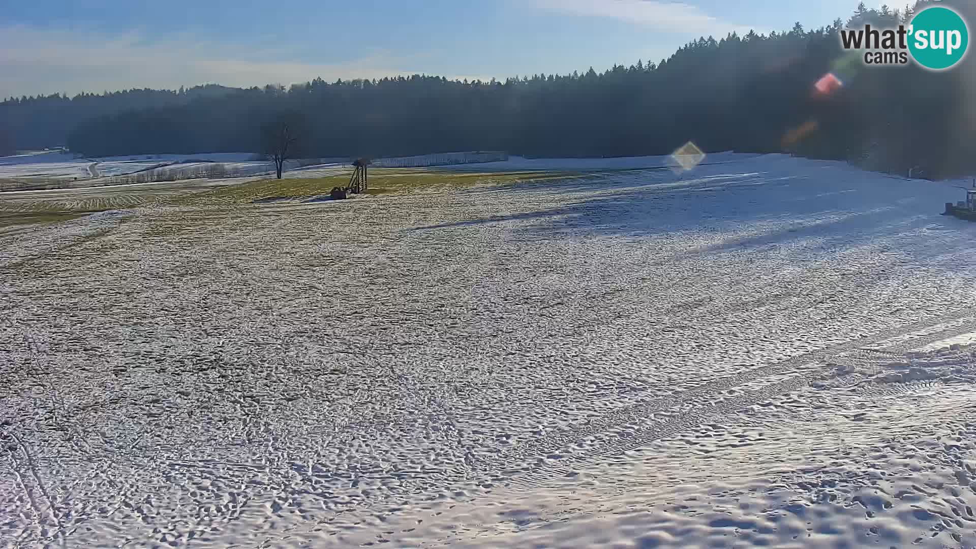 Live webcam Nordic center Bonovec – Medvode