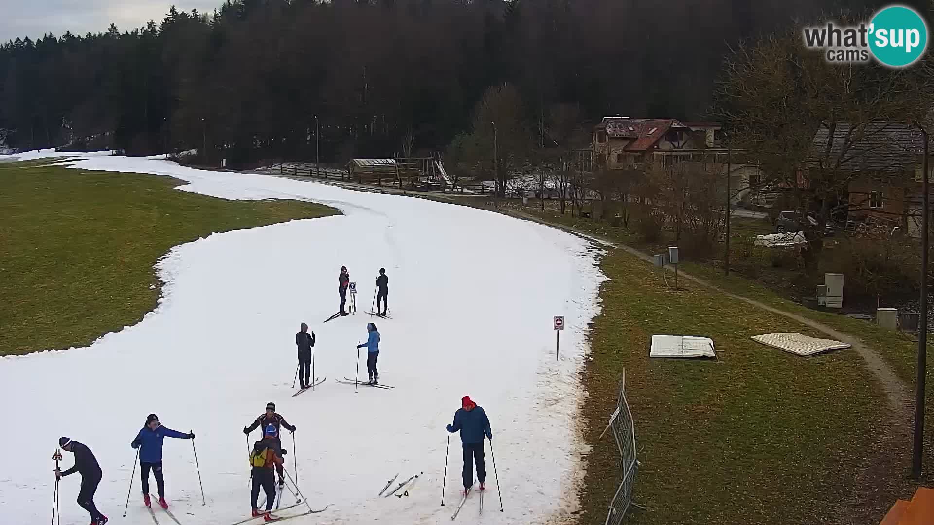 Live webcam Nordic center Bonovec – Medvode