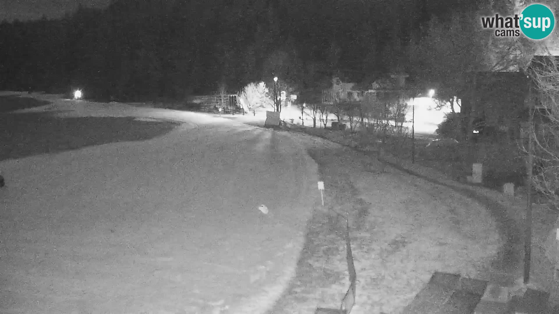 Live webcam Centro sci nordico a Bonovec