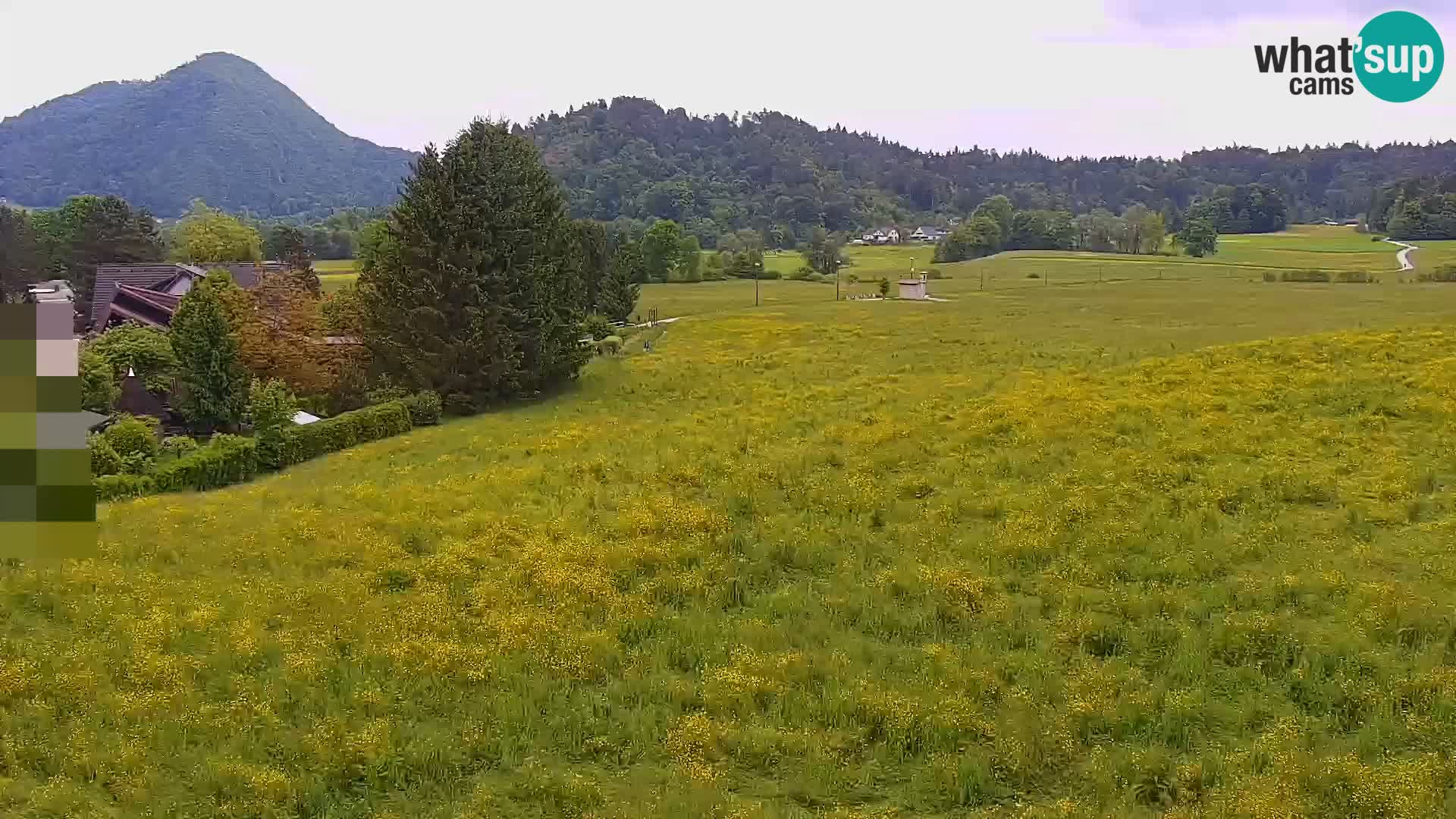 Live webcam Centro sci nordico a Bonovec