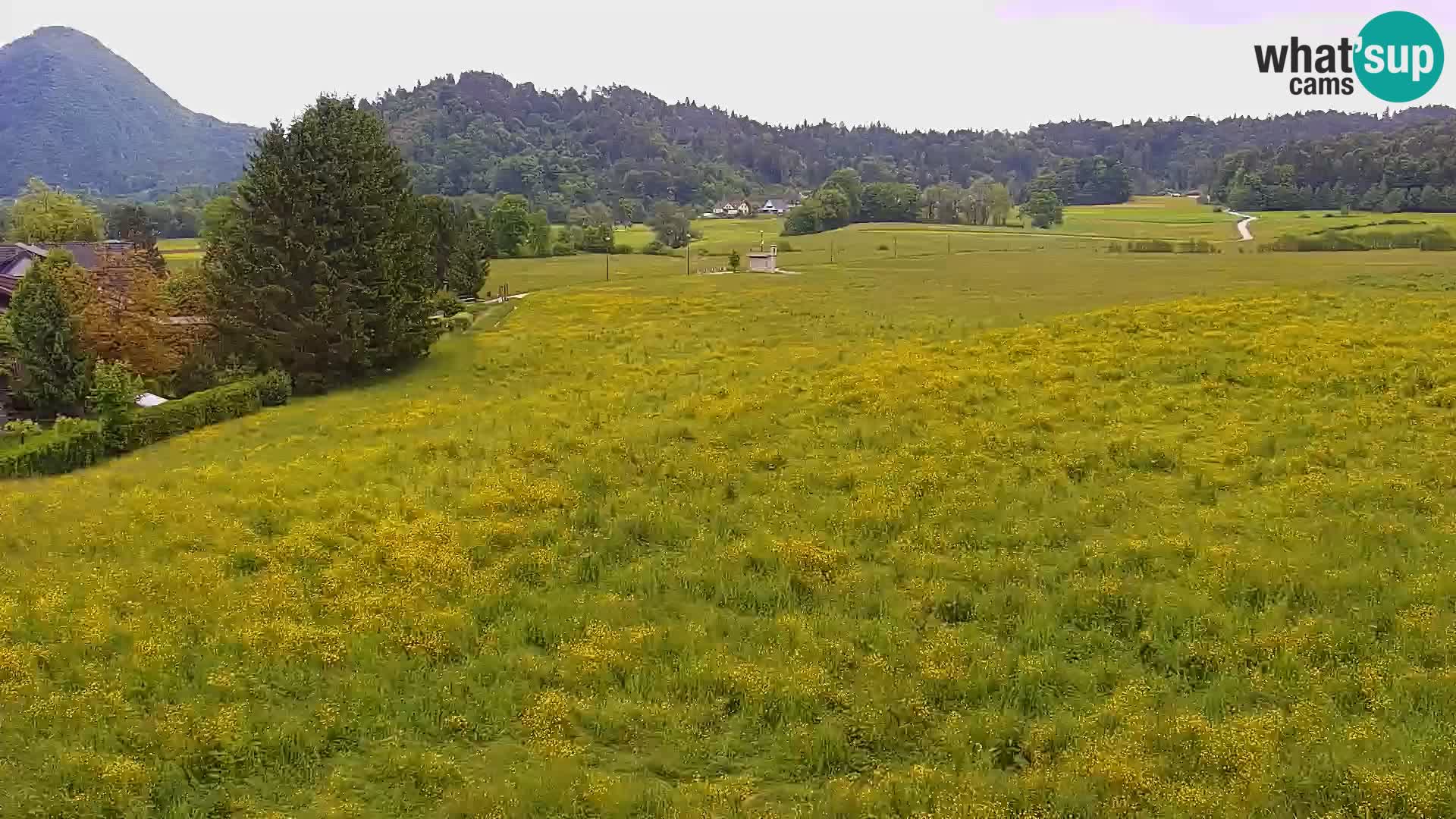Live webcam Nordic center Bonovec – Medvode
