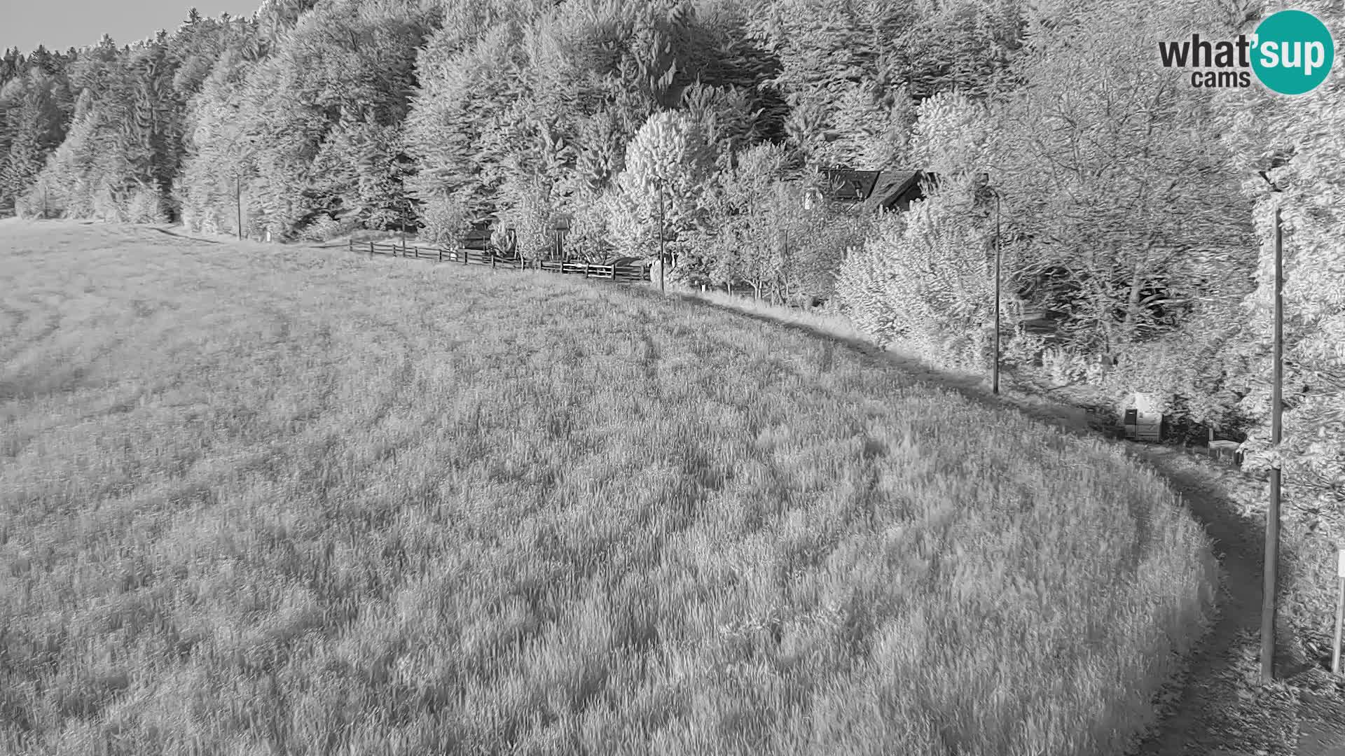 Live webcam Nordic center Bonovec – Medvode