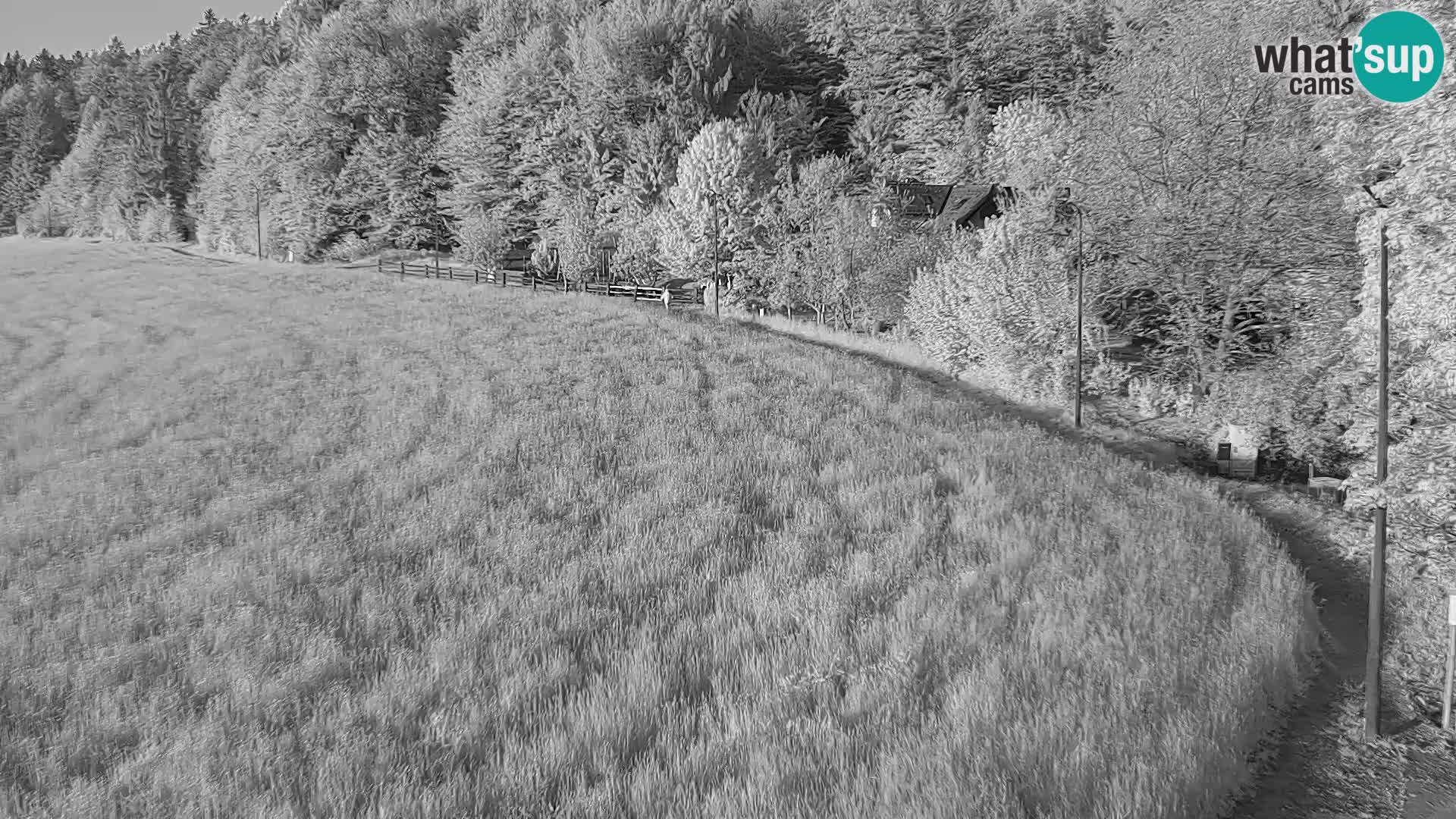 Le nordic center Bonovec – Live webcam