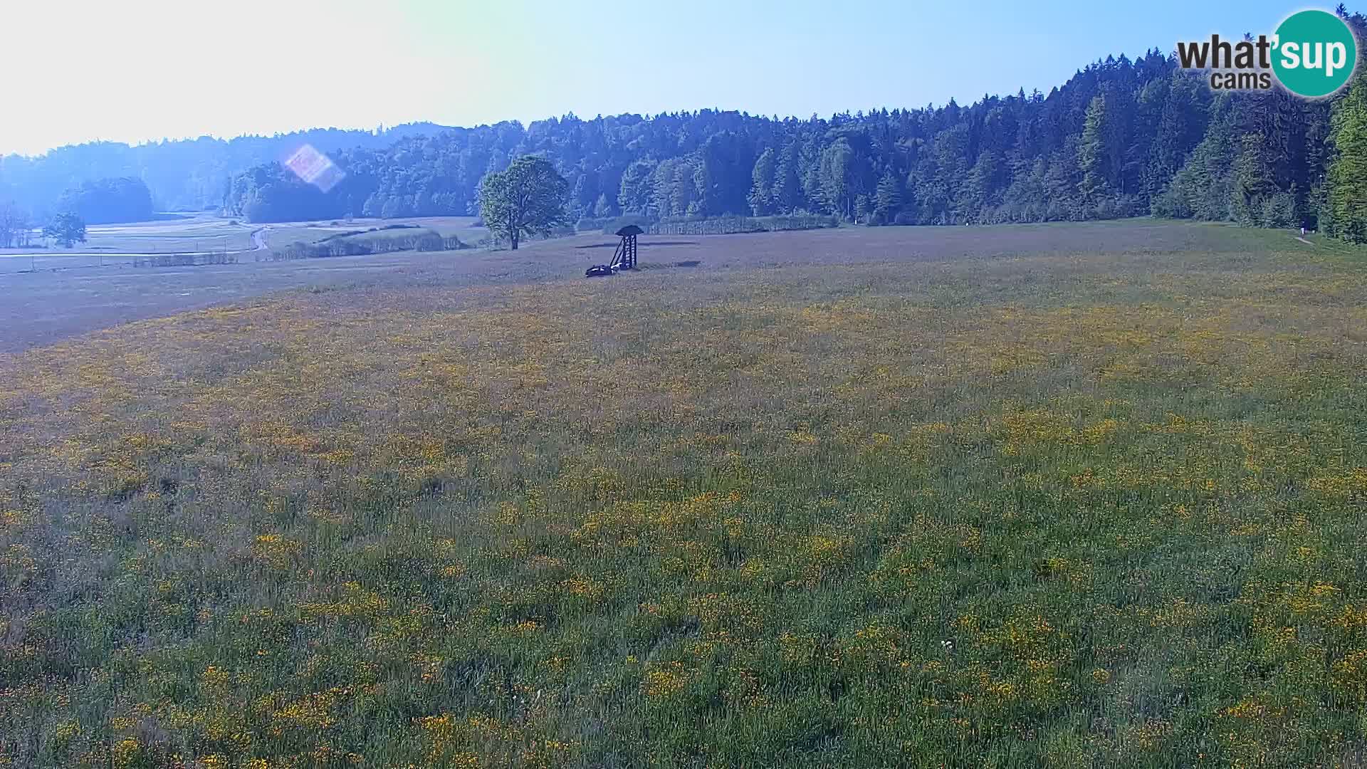 Webcam Live Nordic center Bonovec – Medvode