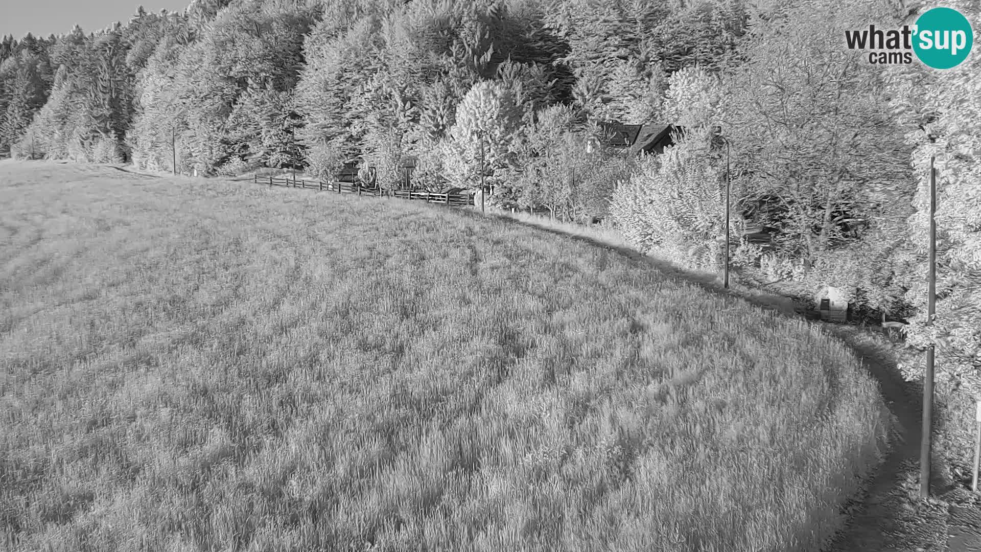 Live webcam Nordic center Bonovec – Medvode
