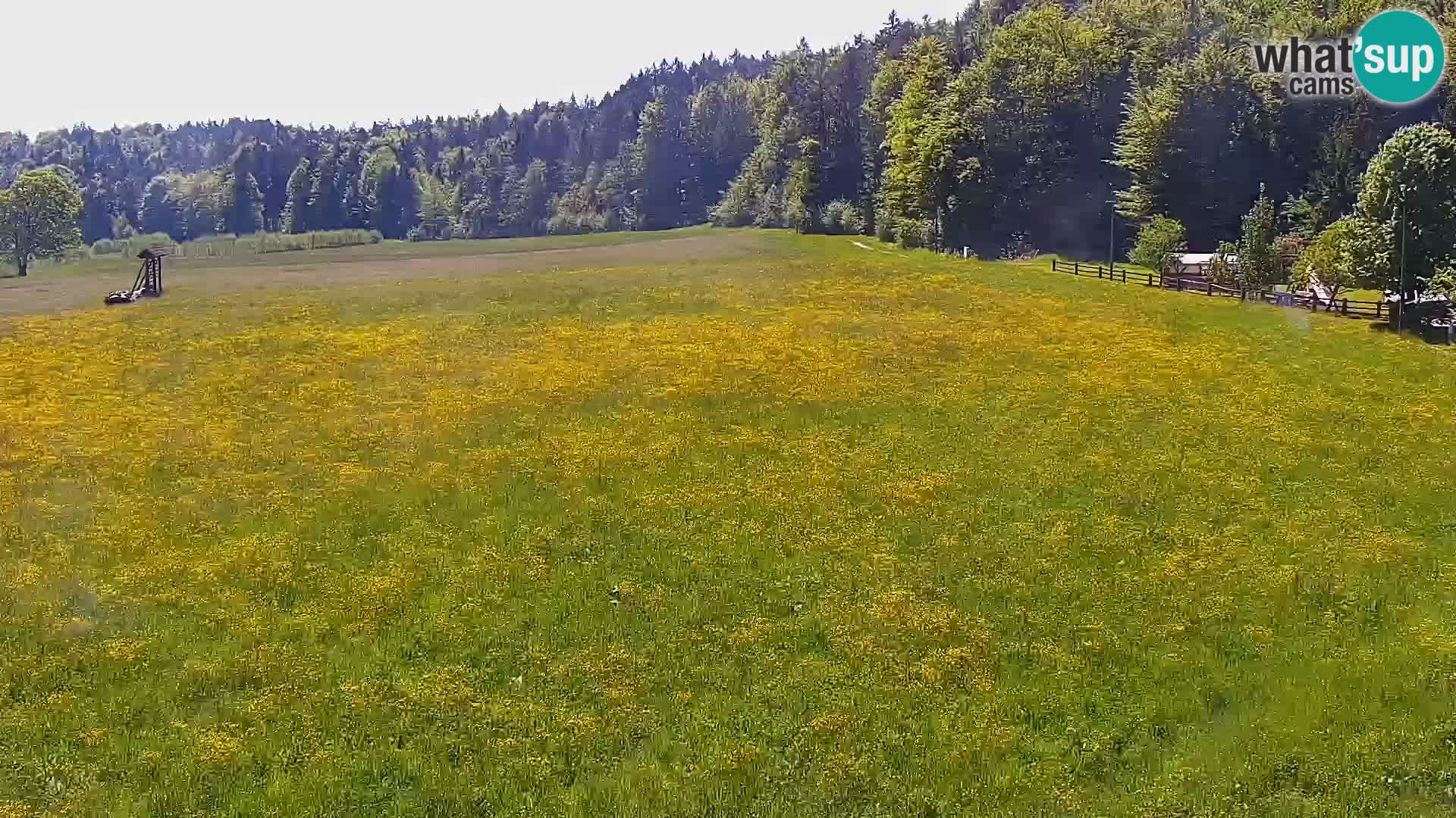 Webcam Live Nordic center Bonovec – Medvode