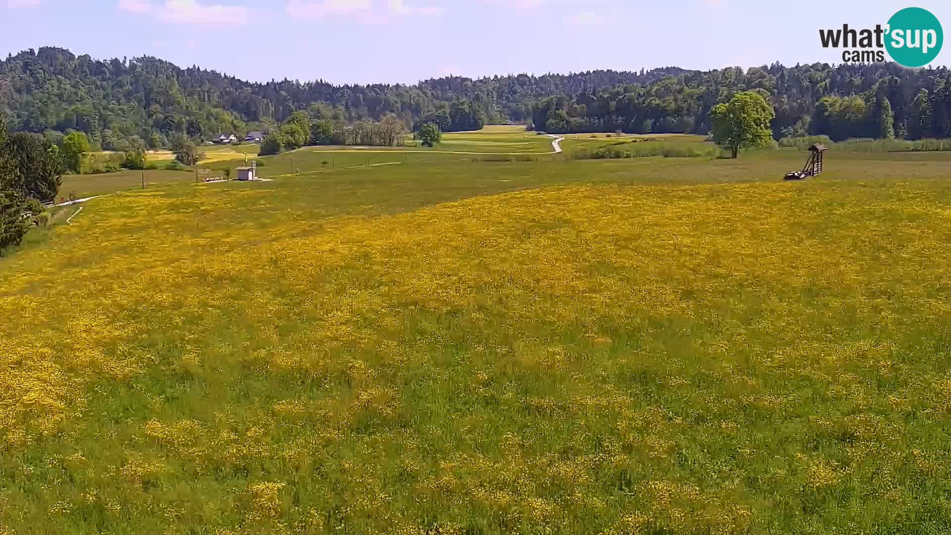 Live webcam Nordic center Bonovec – Medvode