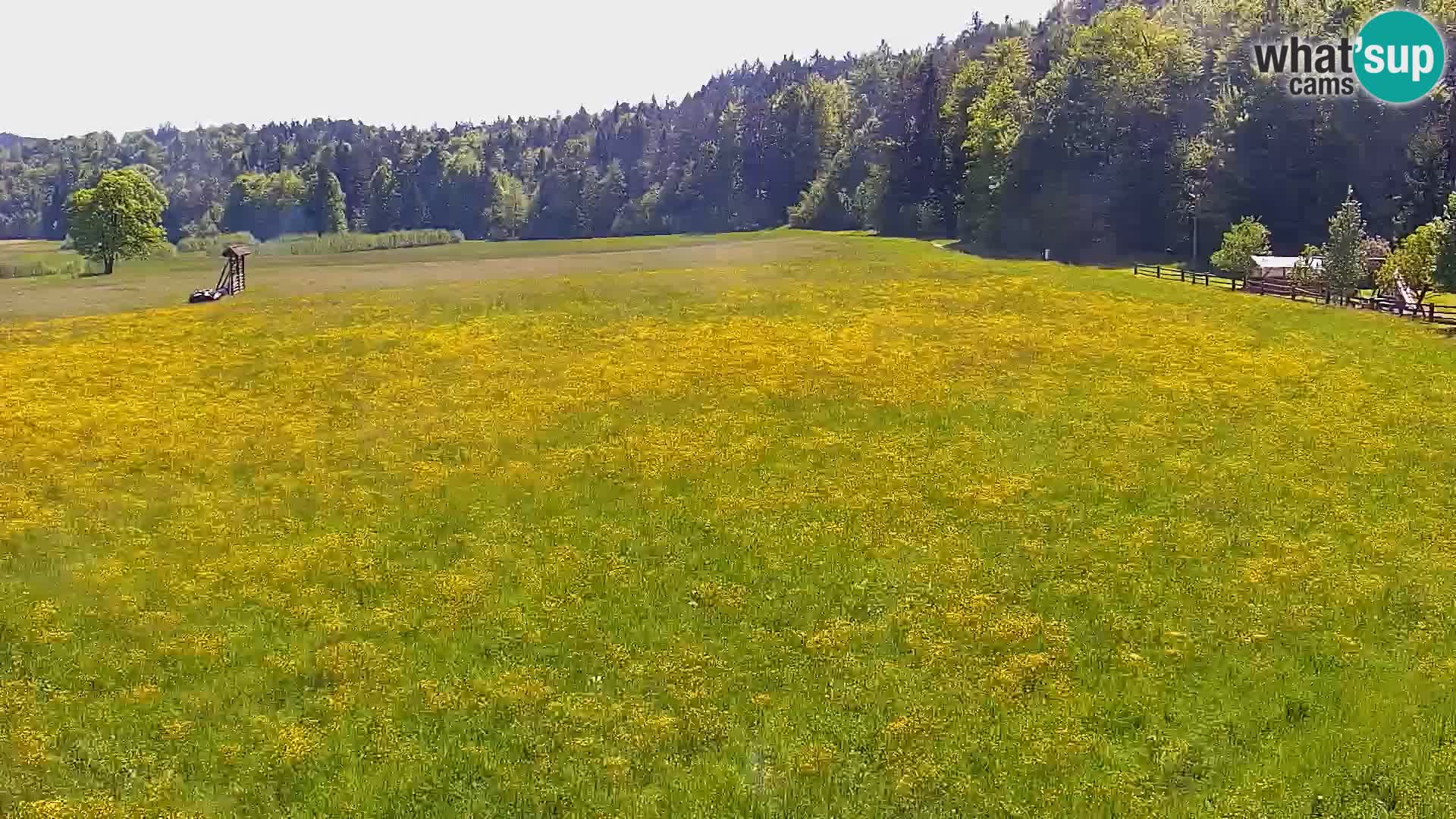 Webcam Live Nordic center Bonovec – Medvode