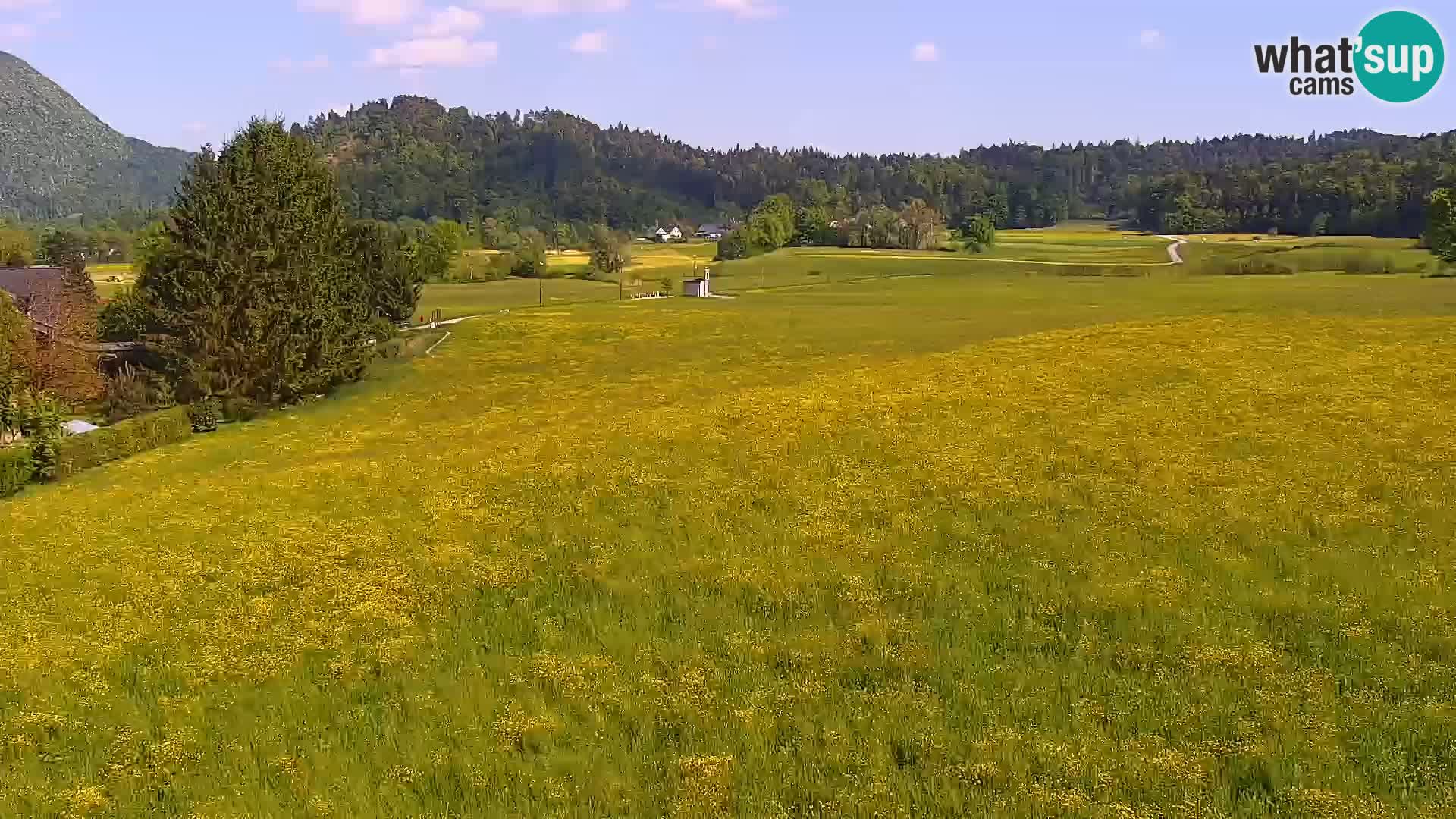 Webcam Live Nordic center Bonovec – Medvode