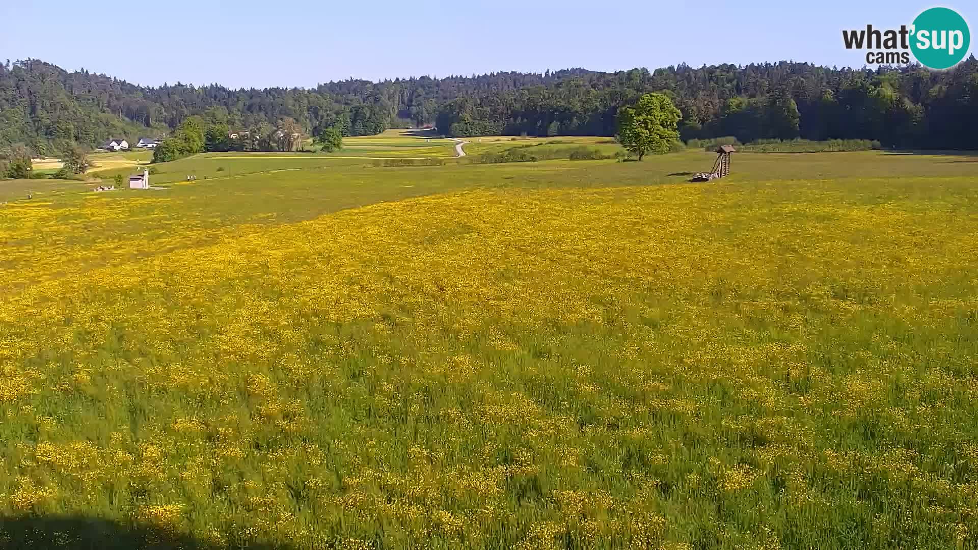 Live webcam Centro sci nordico a Bonovec