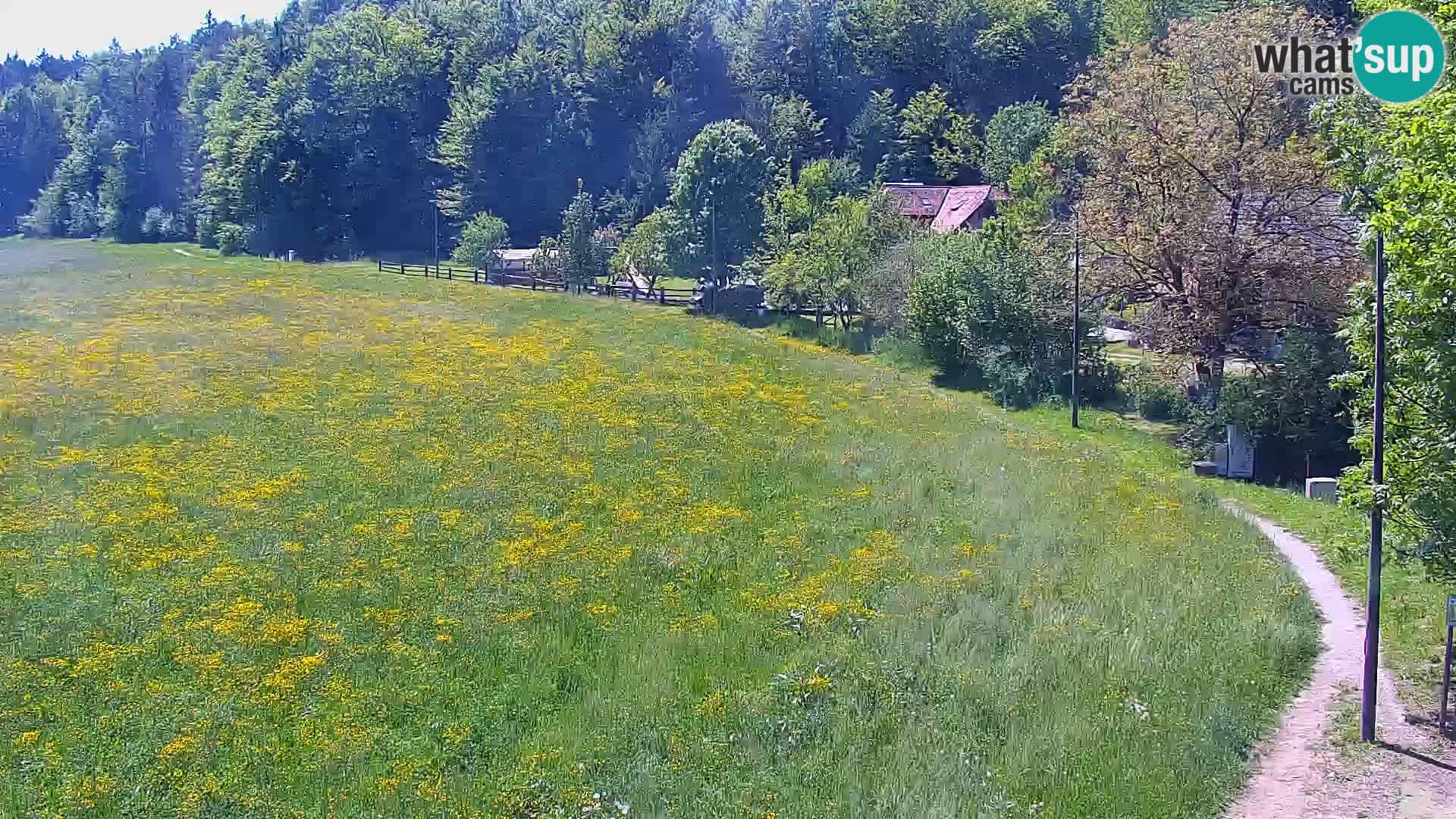 Live webcam Centro sci nordico a Bonovec
