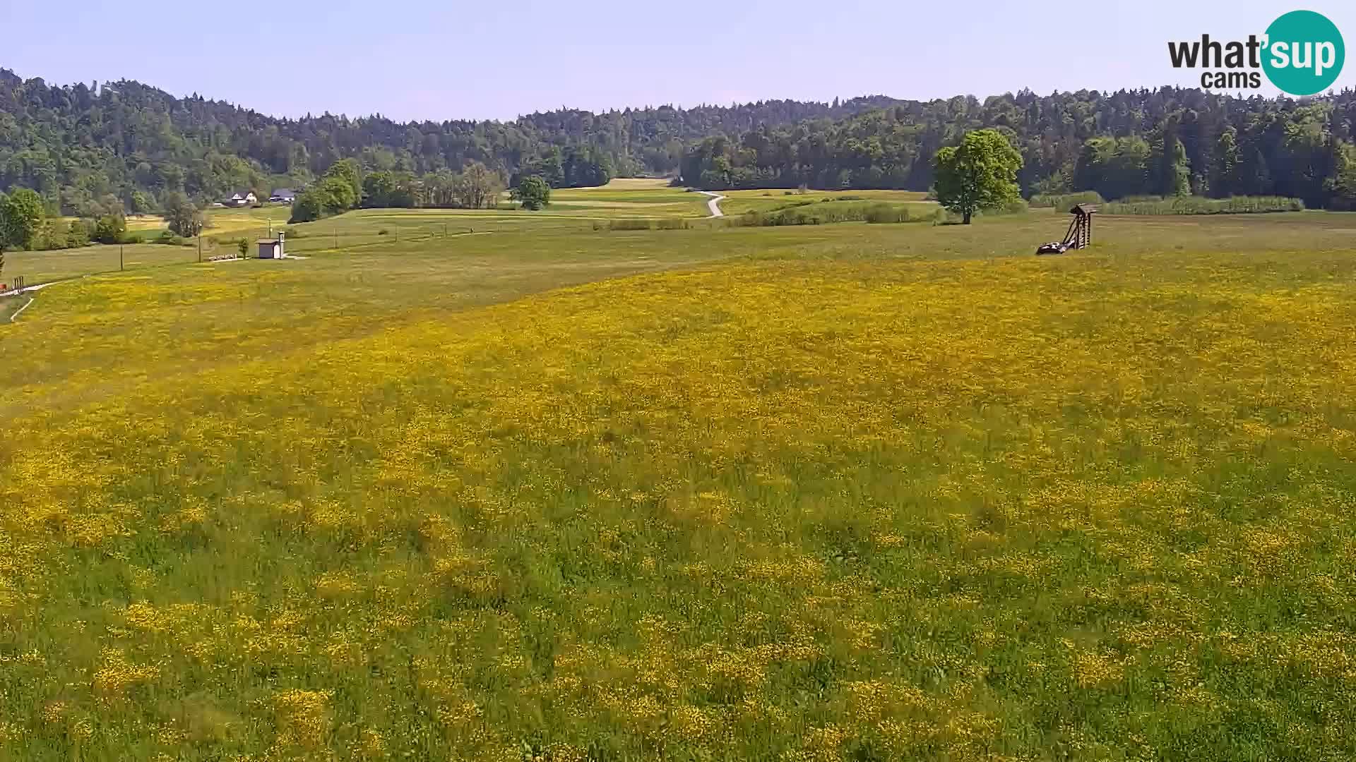 Live webcam Nordic center Bonovec – Medvode