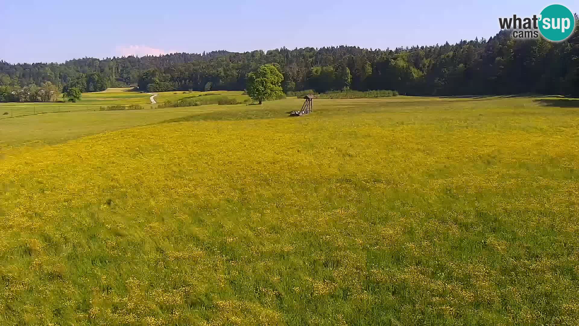Live webcam Nordic center Bonovec – Medvode