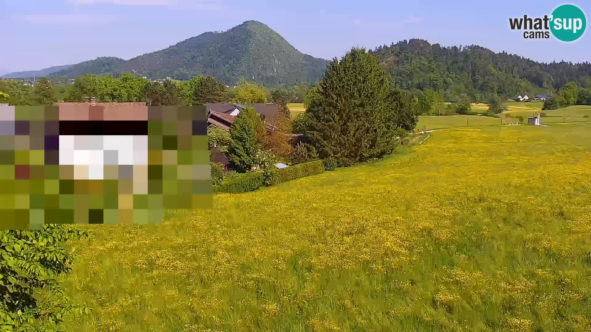 Web kamera Nordijski centar Bonovec