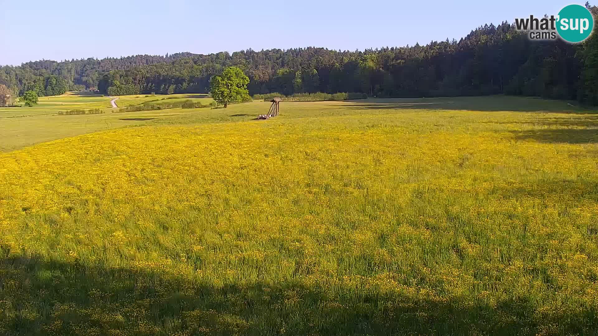 Live webcam Nordic center Bonovec – Medvode