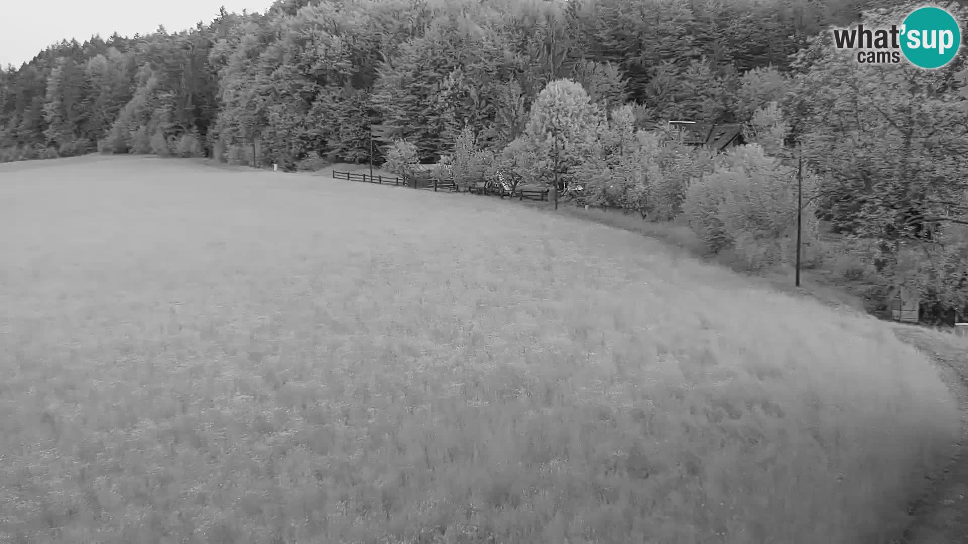 Webcam Live Nordic center Bonovec – Medvode