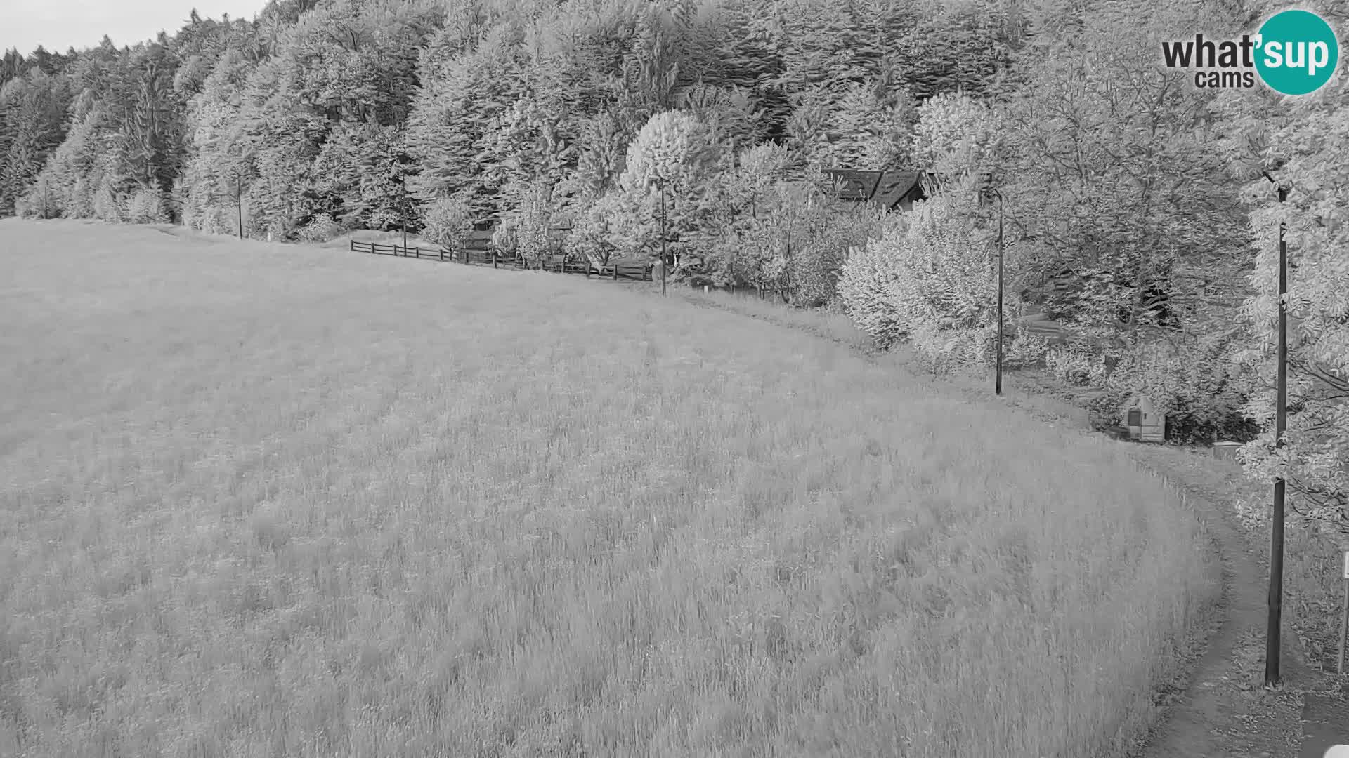 Le nordic center Bonovec – Live webcam