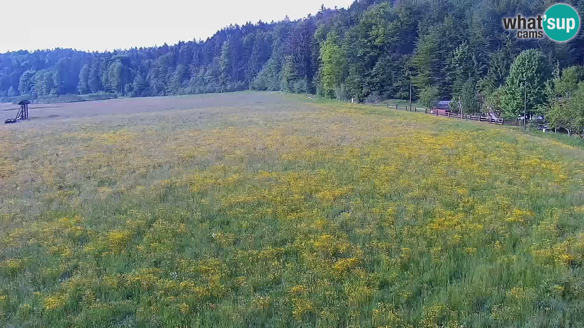 Live webcam Centro sci nordico a Bonovec