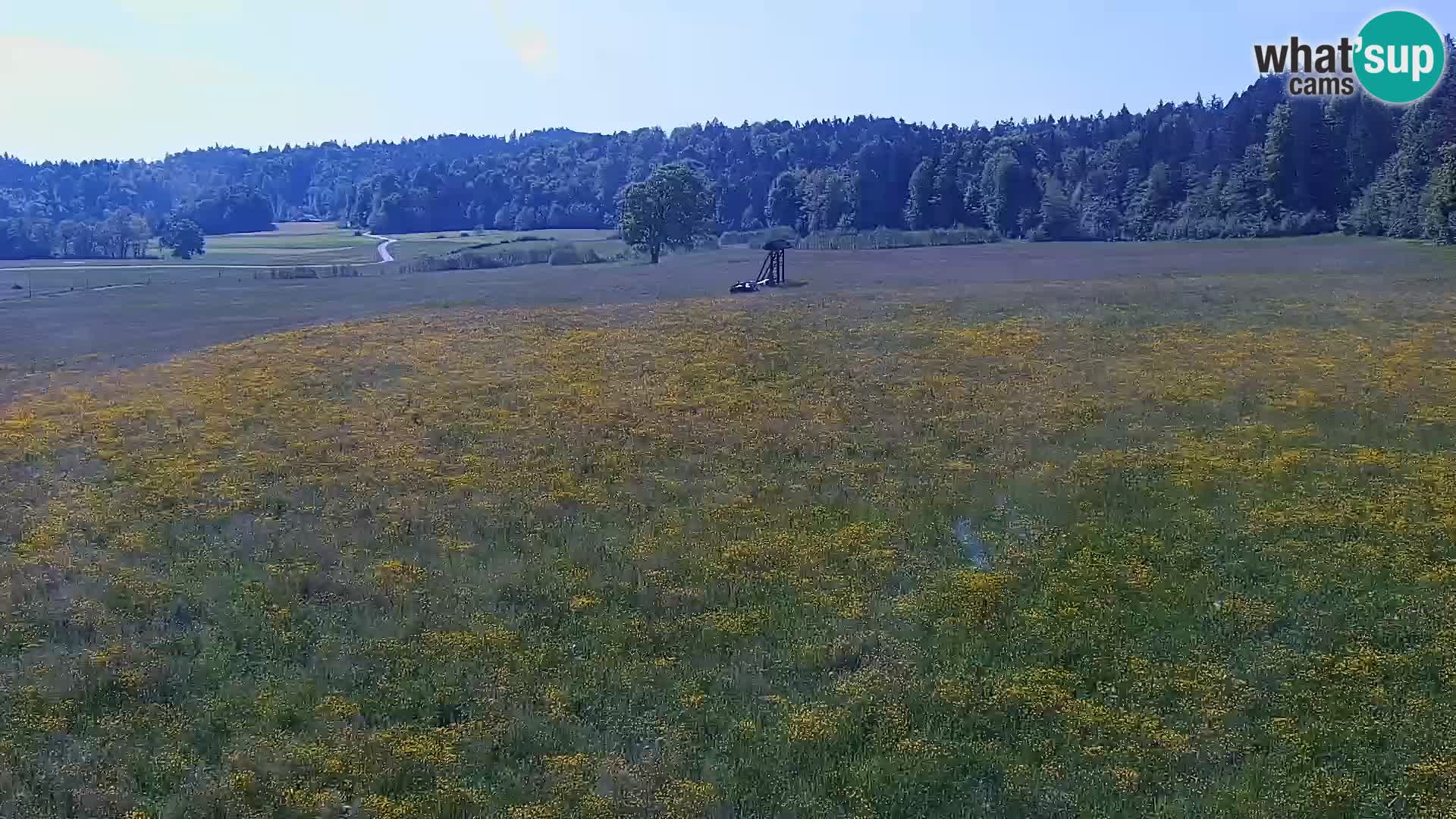 Webcam Live Nordic center Bonovec – Medvode