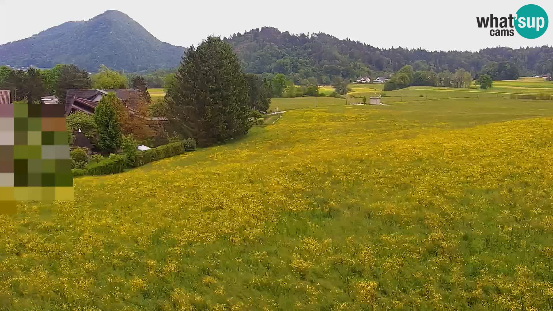 Spletna kamera Nordijski center Bonovec