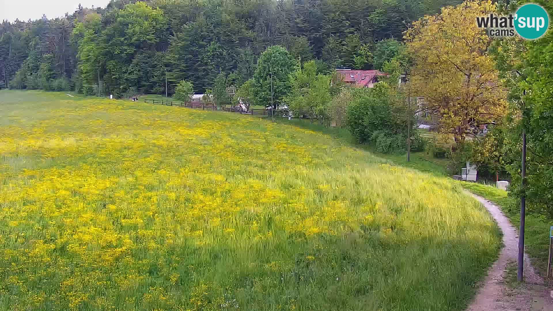 Live webcam Centro sci nordico a Bonovec