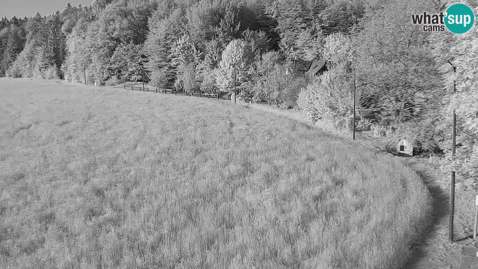 Live webcam Nordic center Bonovec – Medvode