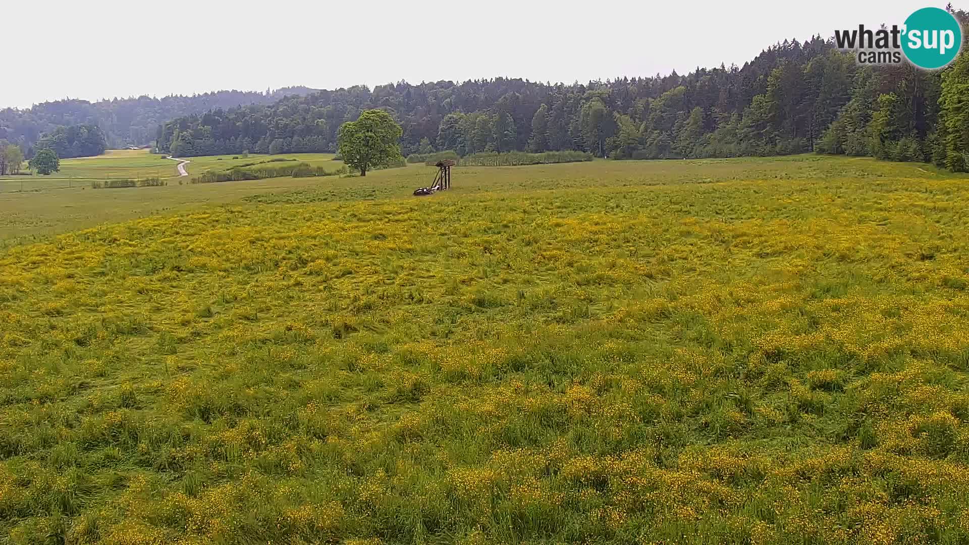 Live webcam Nordic center Bonovec – Medvode