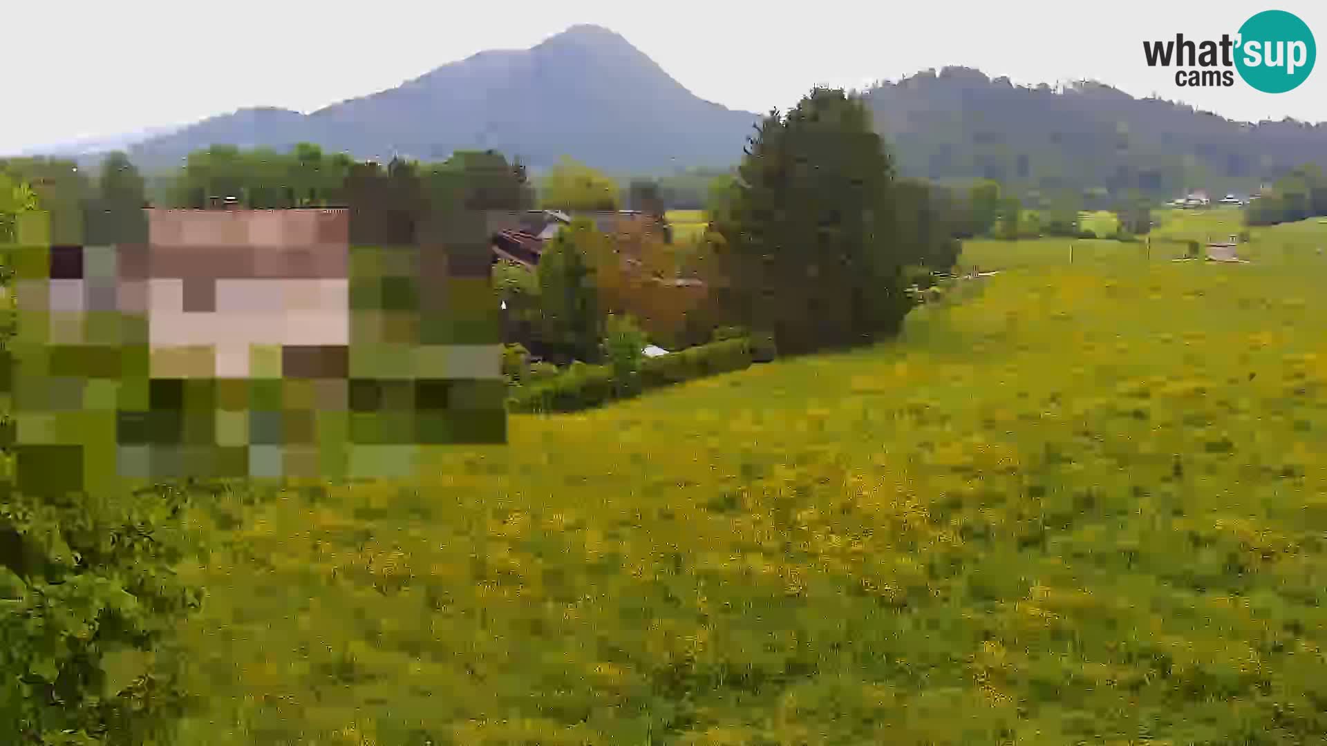 Live webcam Centro sci nordico a Bonovec