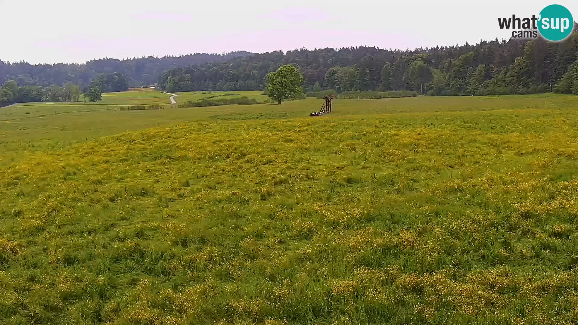 Spletna kamera Nordijski center Bonovec