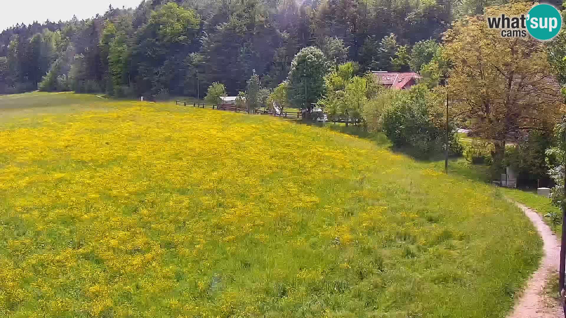 Live webcam Centro sci nordico a Bonovec