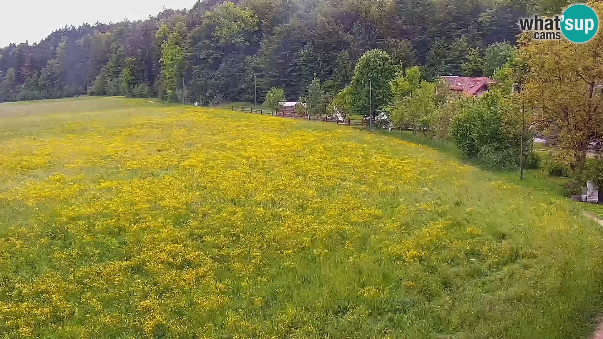 Live webcam Nordic center Bonovec – Medvode