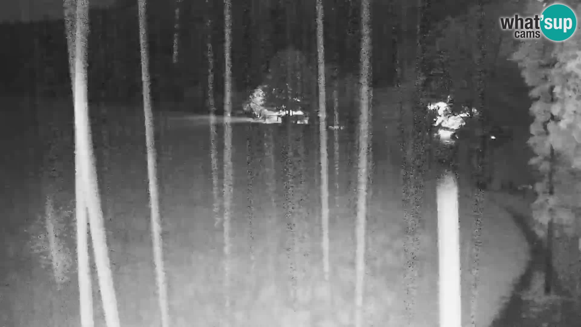 Le nordic center Bonovec – Live webcam