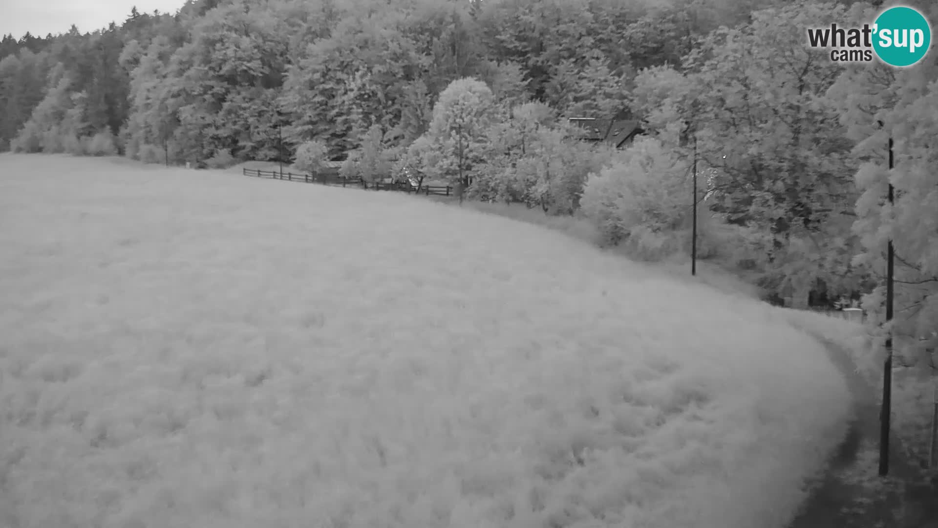 Live webcam Centro sci nordico a Bonovec