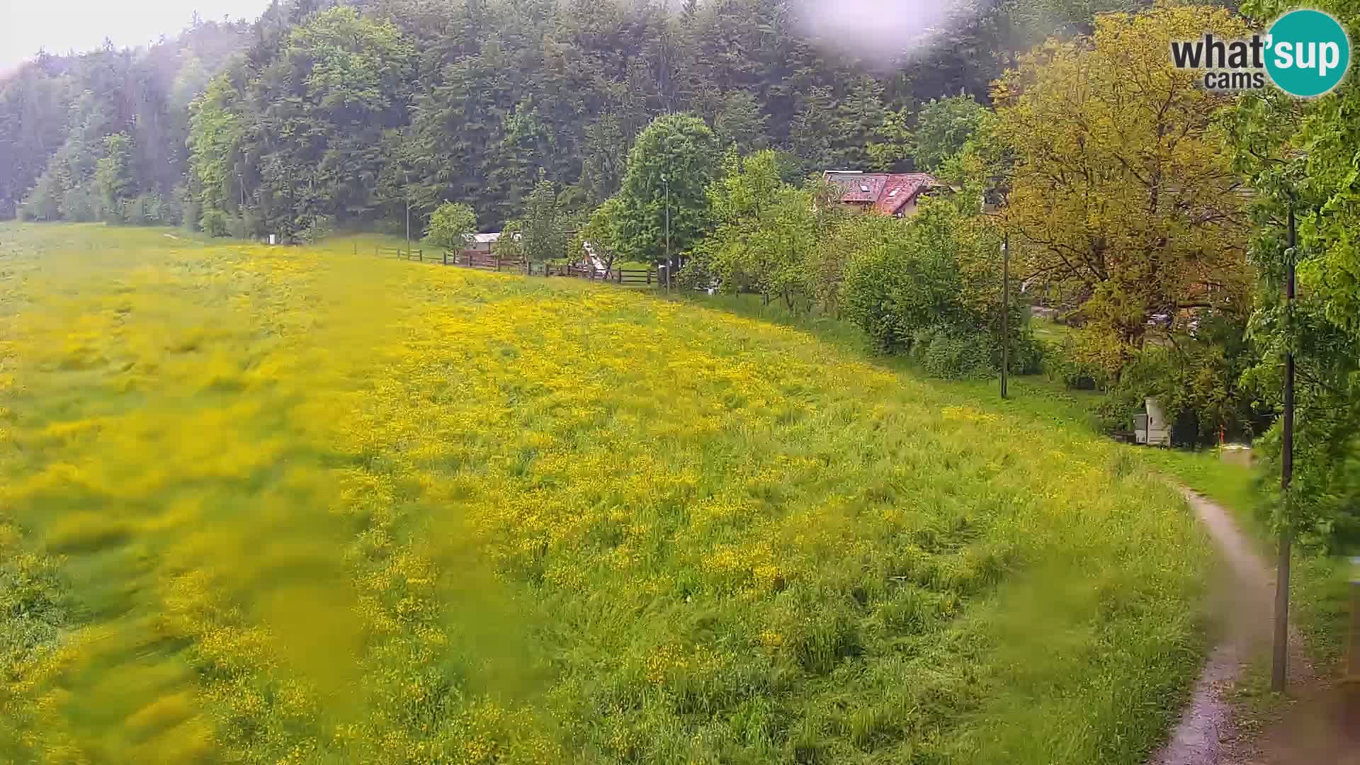Live webcam Nordic center Bonovec – Medvode