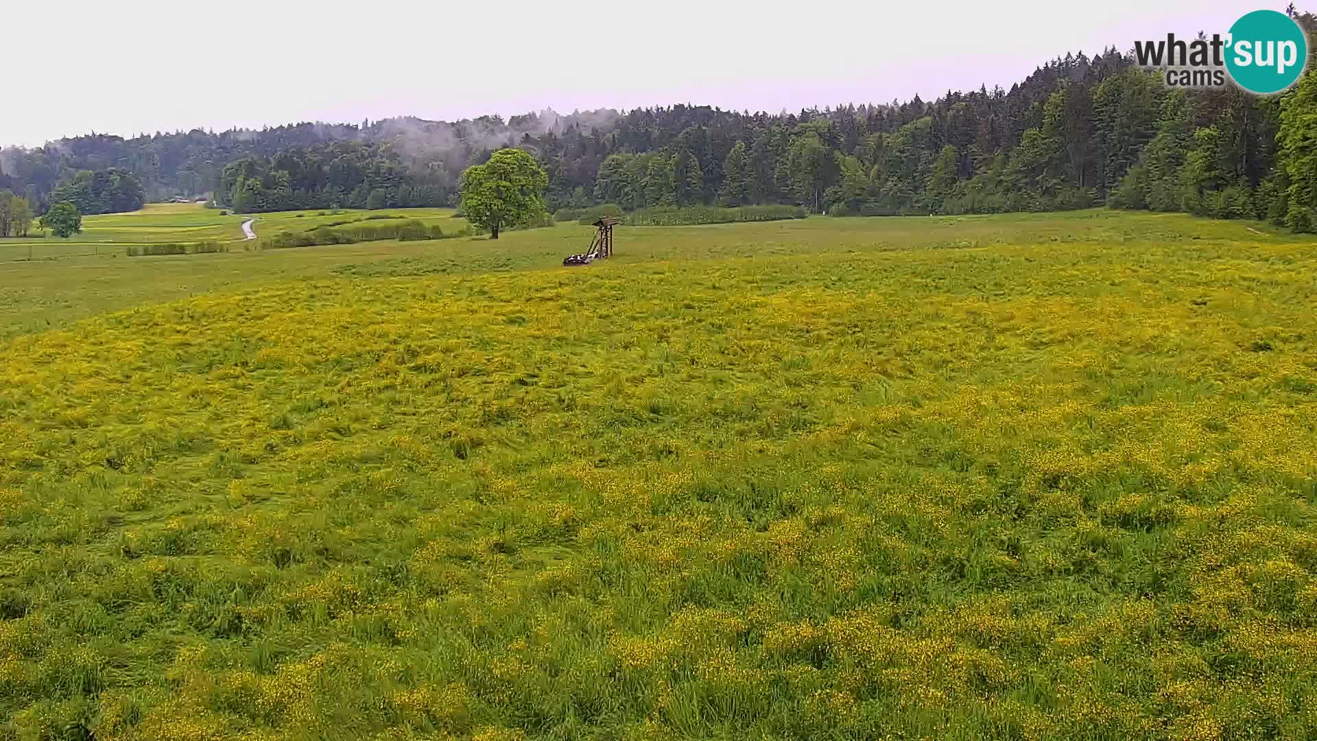 Nordic Centre Bonovec – camera en vivo