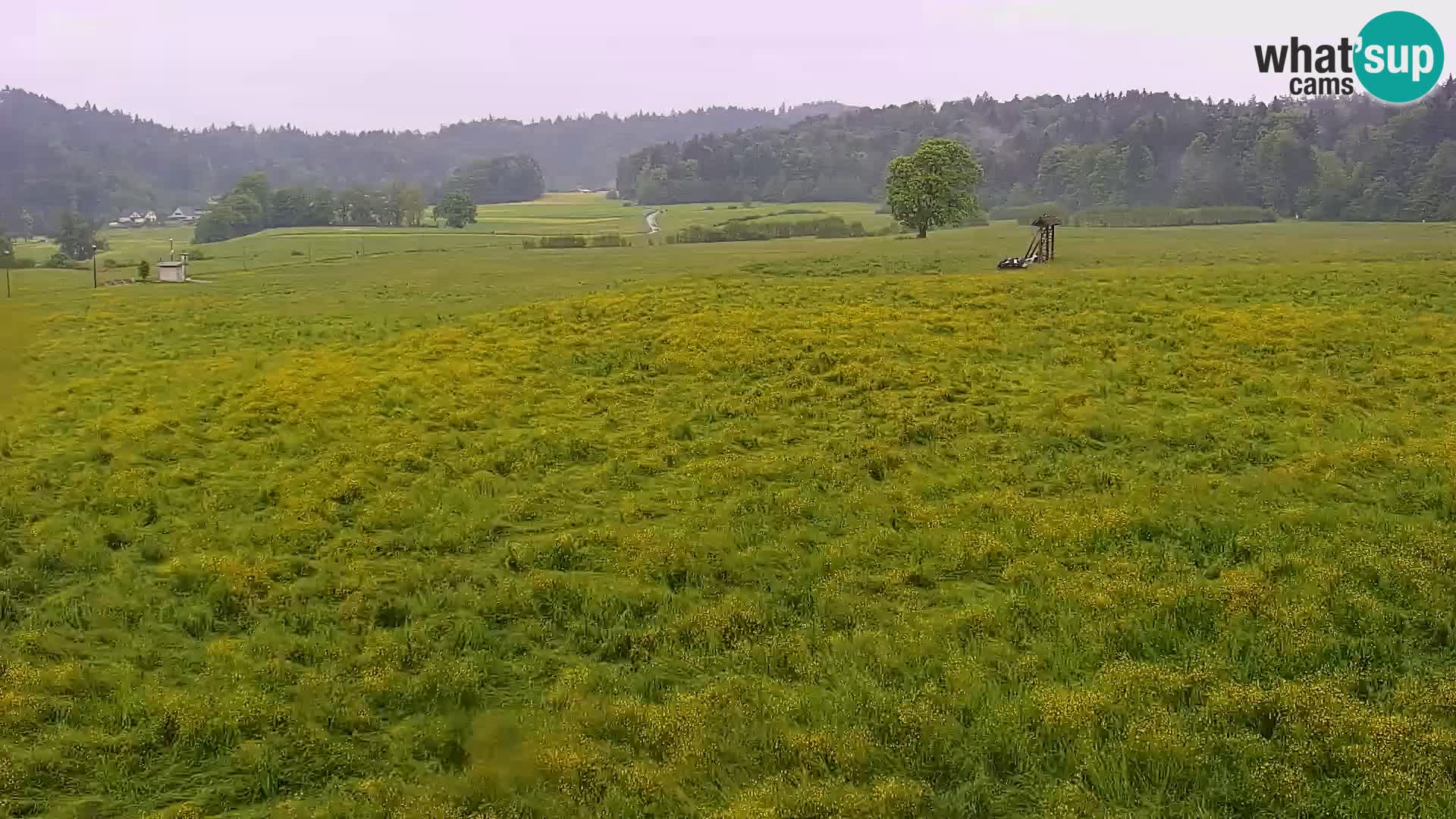 Webcam Live Nordic center Bonovec – Medvode