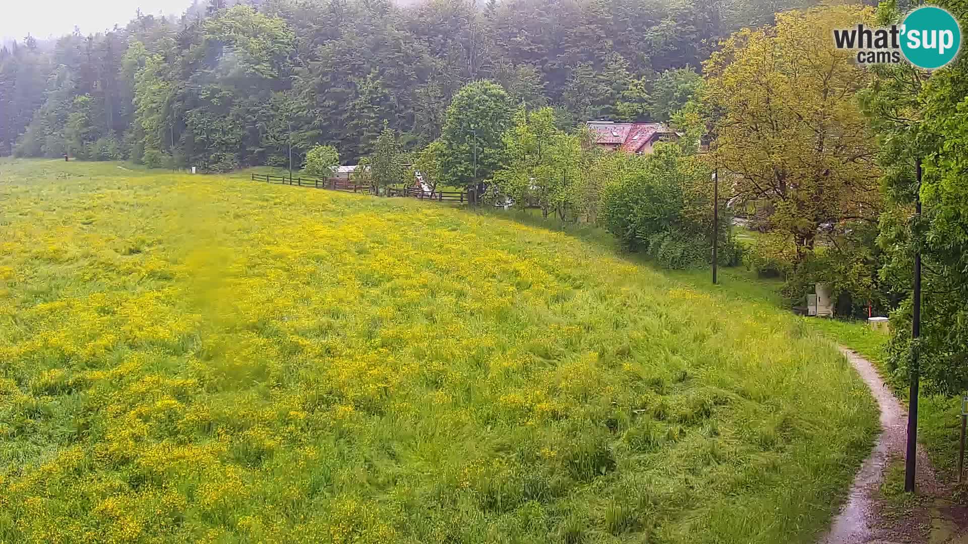 Web kamera Nordijski centar Bonovec