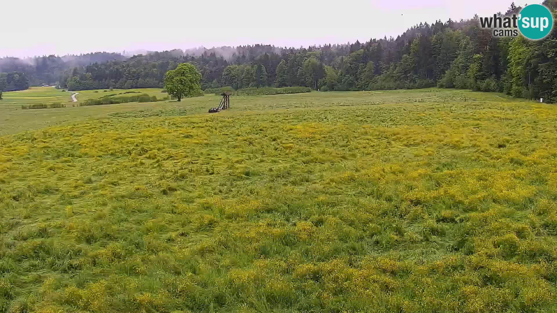 Nordic Centre Bonovec – camera en vivo
