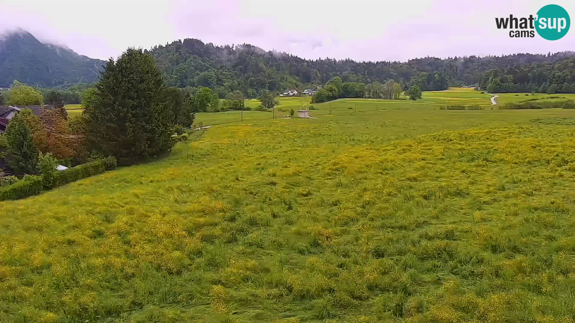 Spletna kamera Nordijski center Bonovec