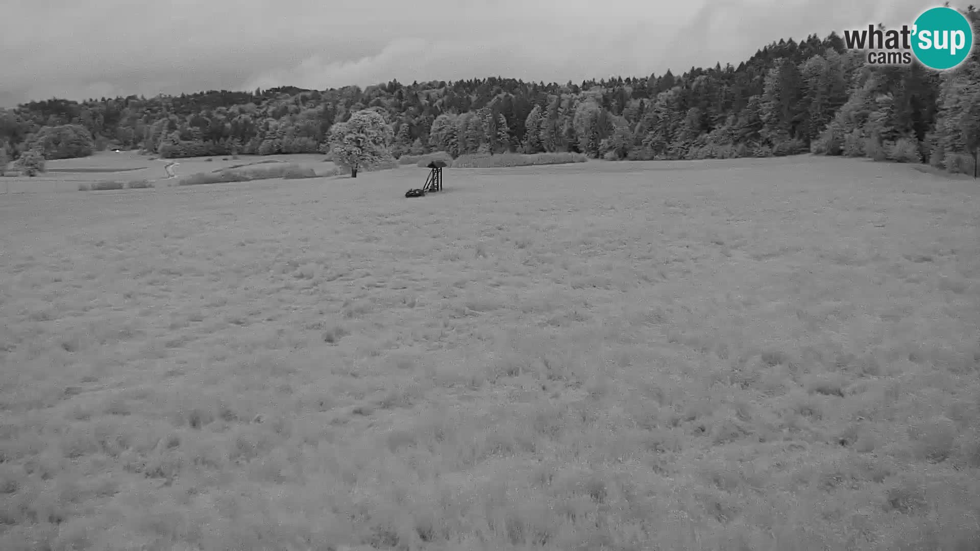 Live webcam Centro sci nordico a Bonovec
