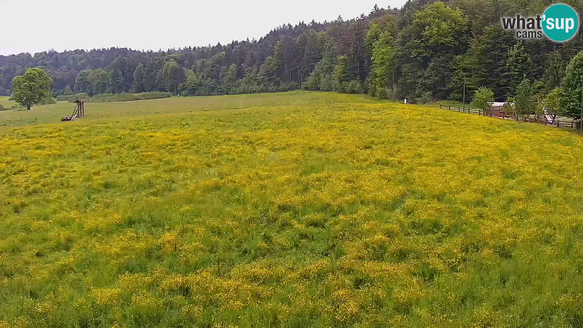 Live webcam Centro sci nordico a Bonovec