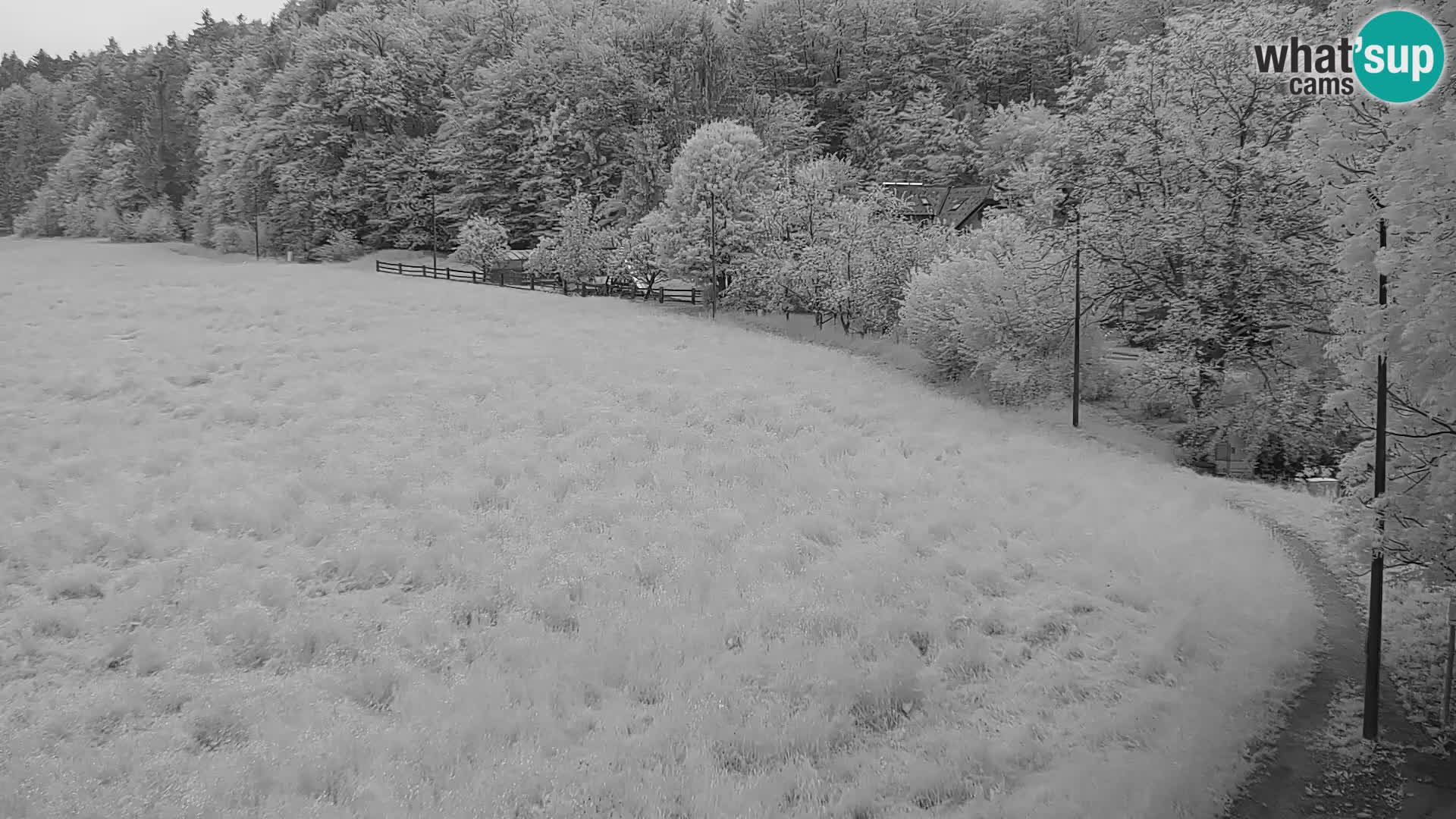 Le nordic center Bonovec – Live webcam