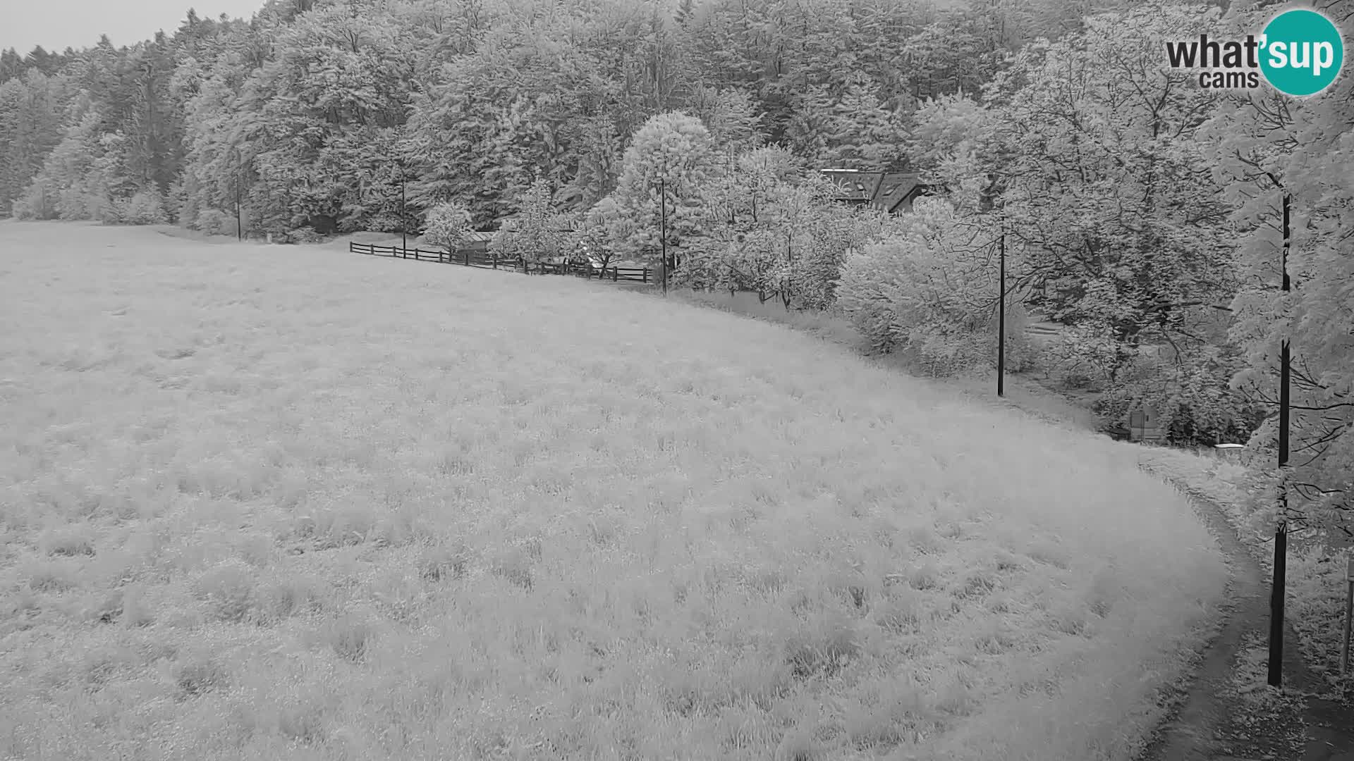 Webcam Live Nordic center Bonovec – Medvode