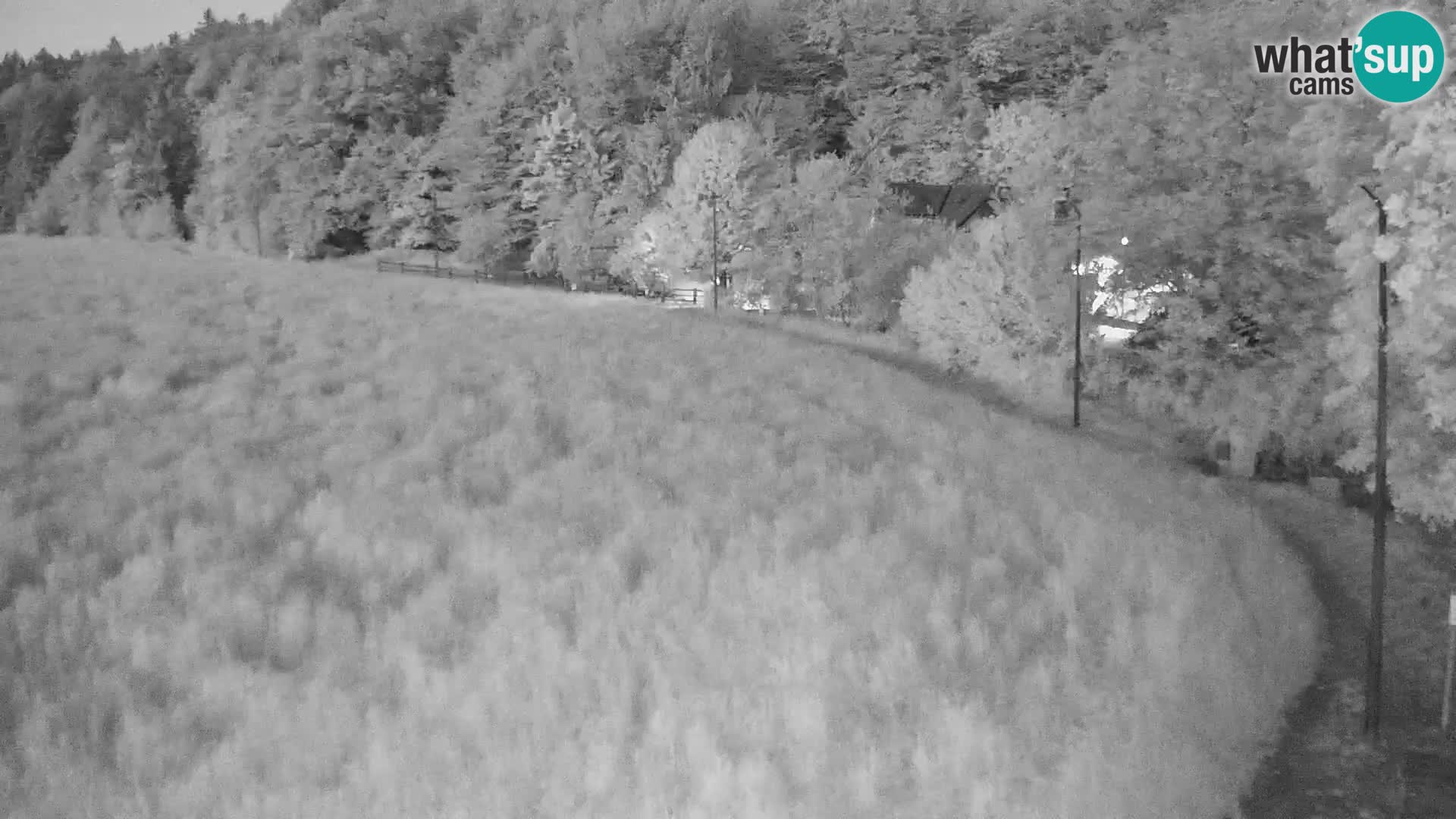 Live webcam Centro sci nordico a Bonovec