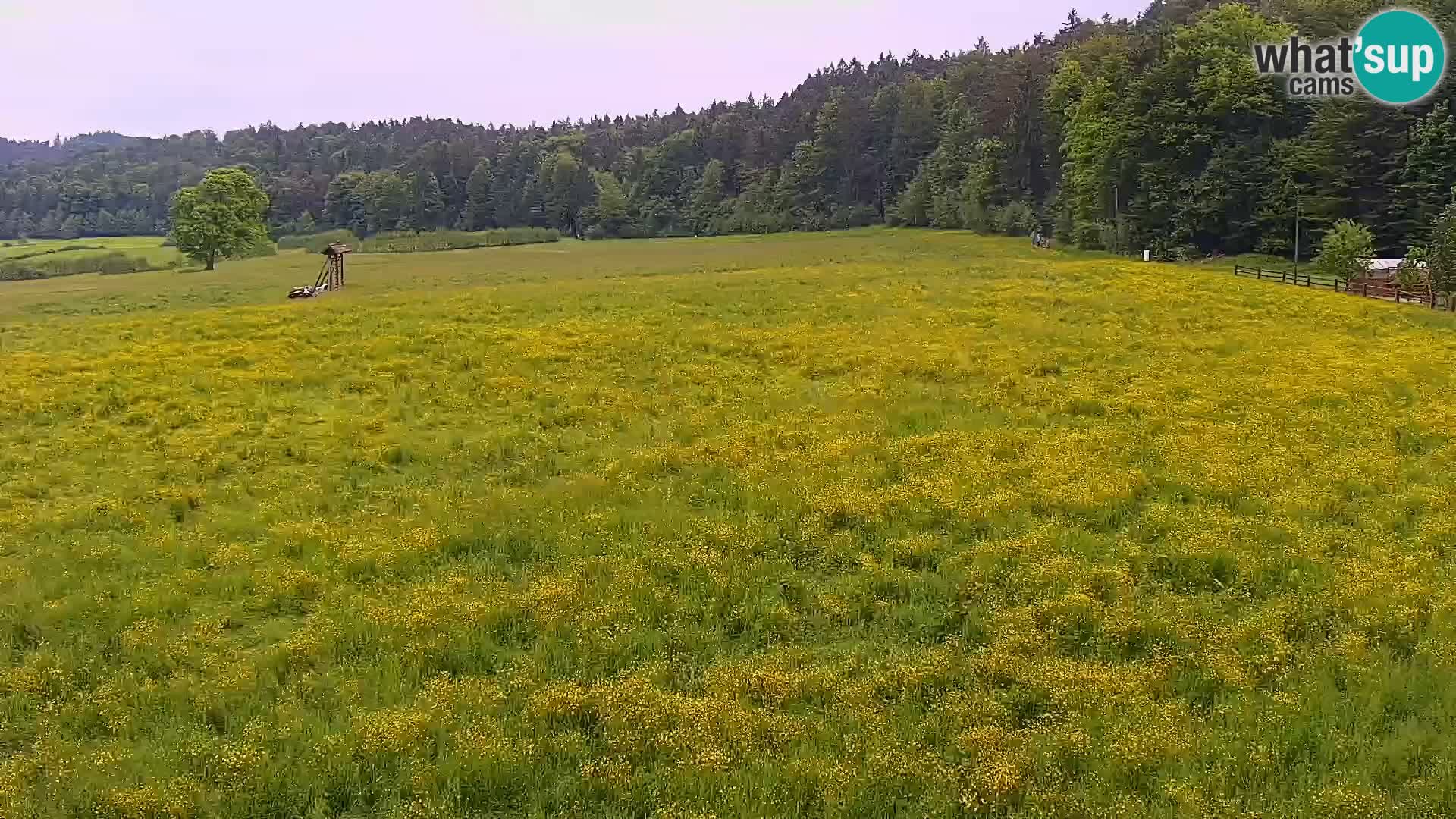 Live webcam Nordic center Bonovec – Medvode