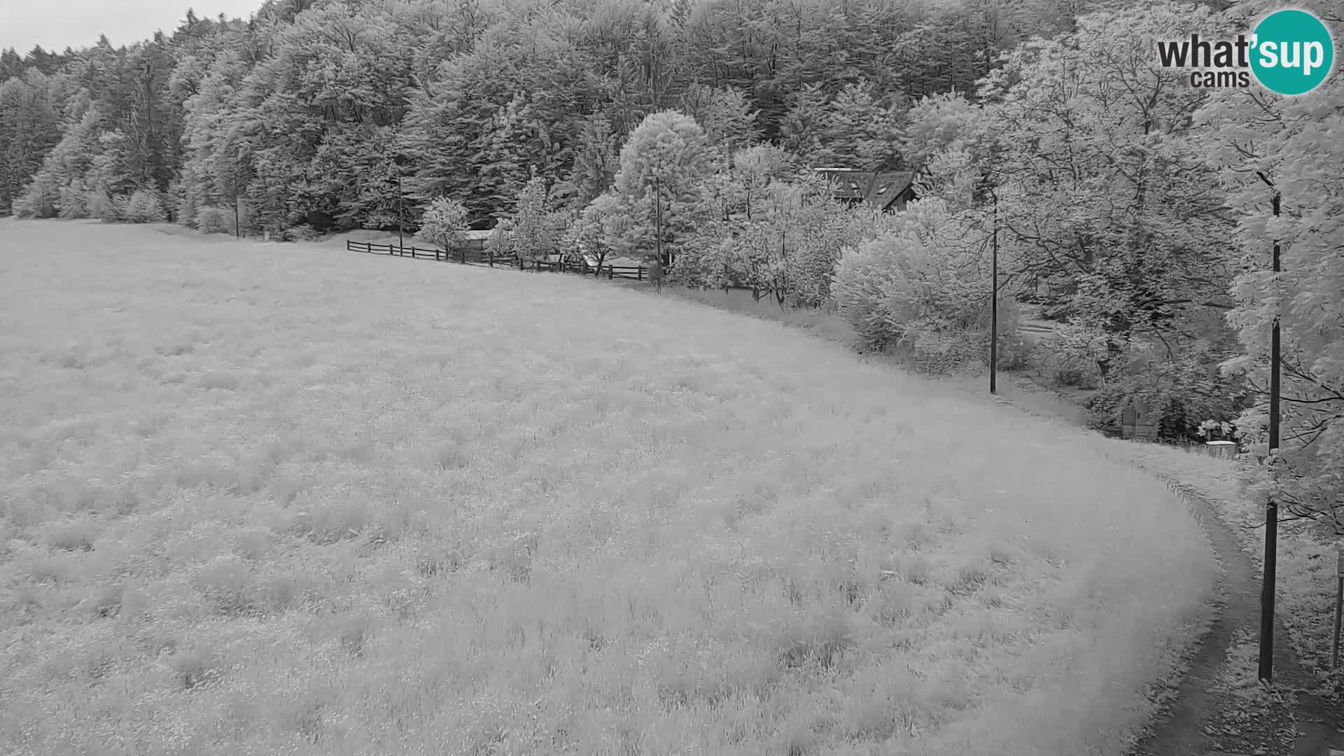 Webcam Live Nordic center Bonovec – Medvode